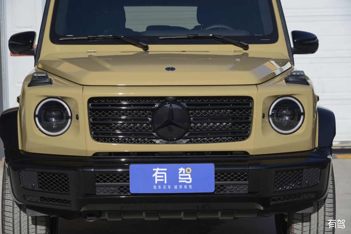 奔驰,奔驰g级,2020款 g 500
