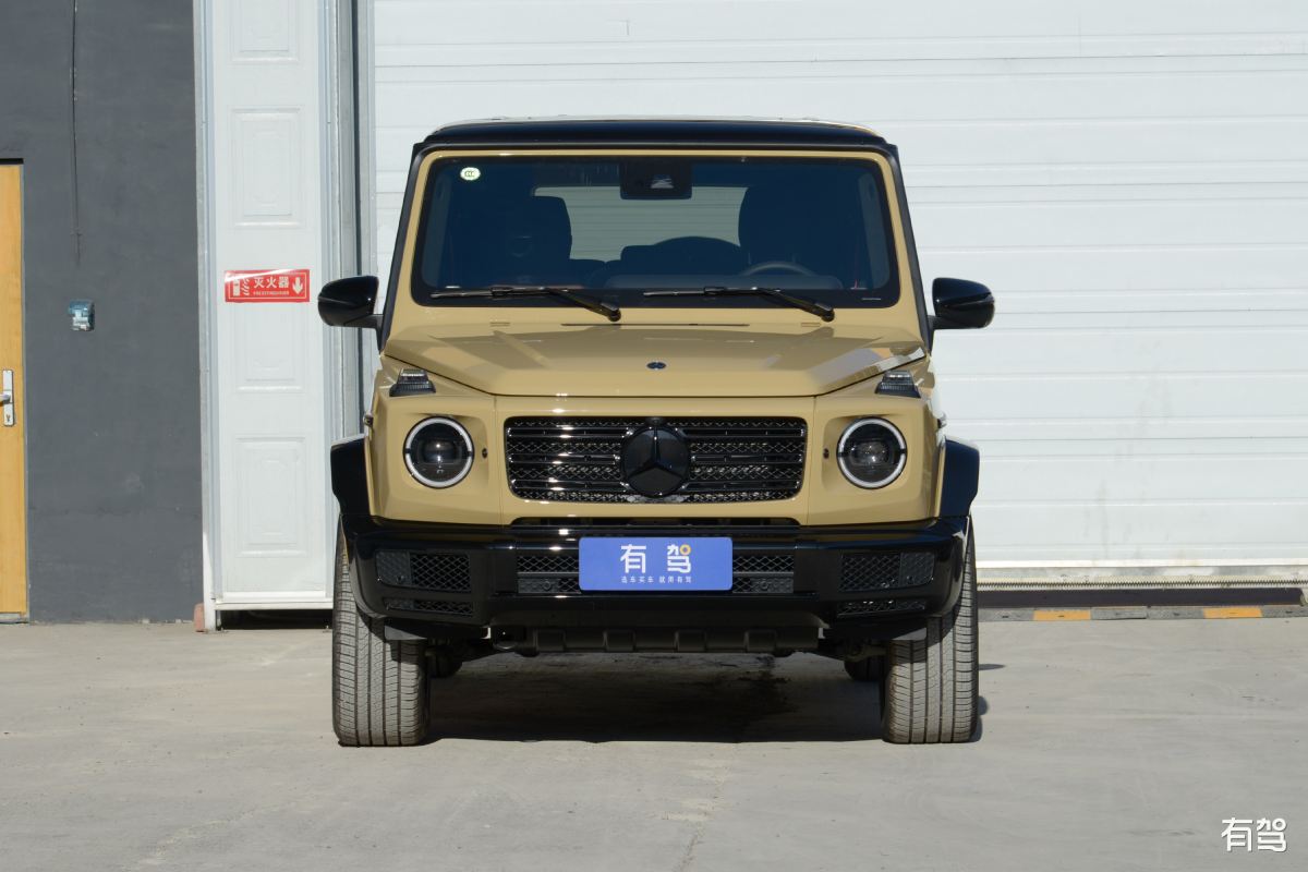 奔驰,奔驰g级,2020款 g 500