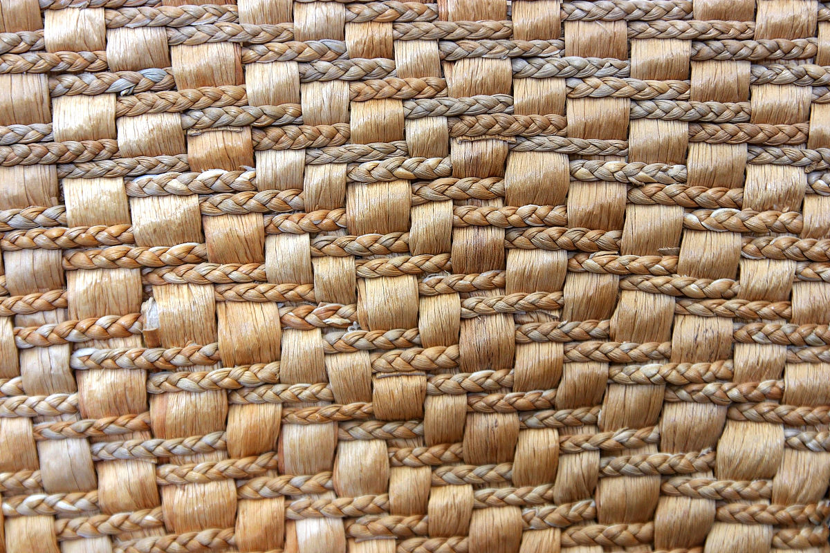 木材购销合同范本 - 下载免费模板