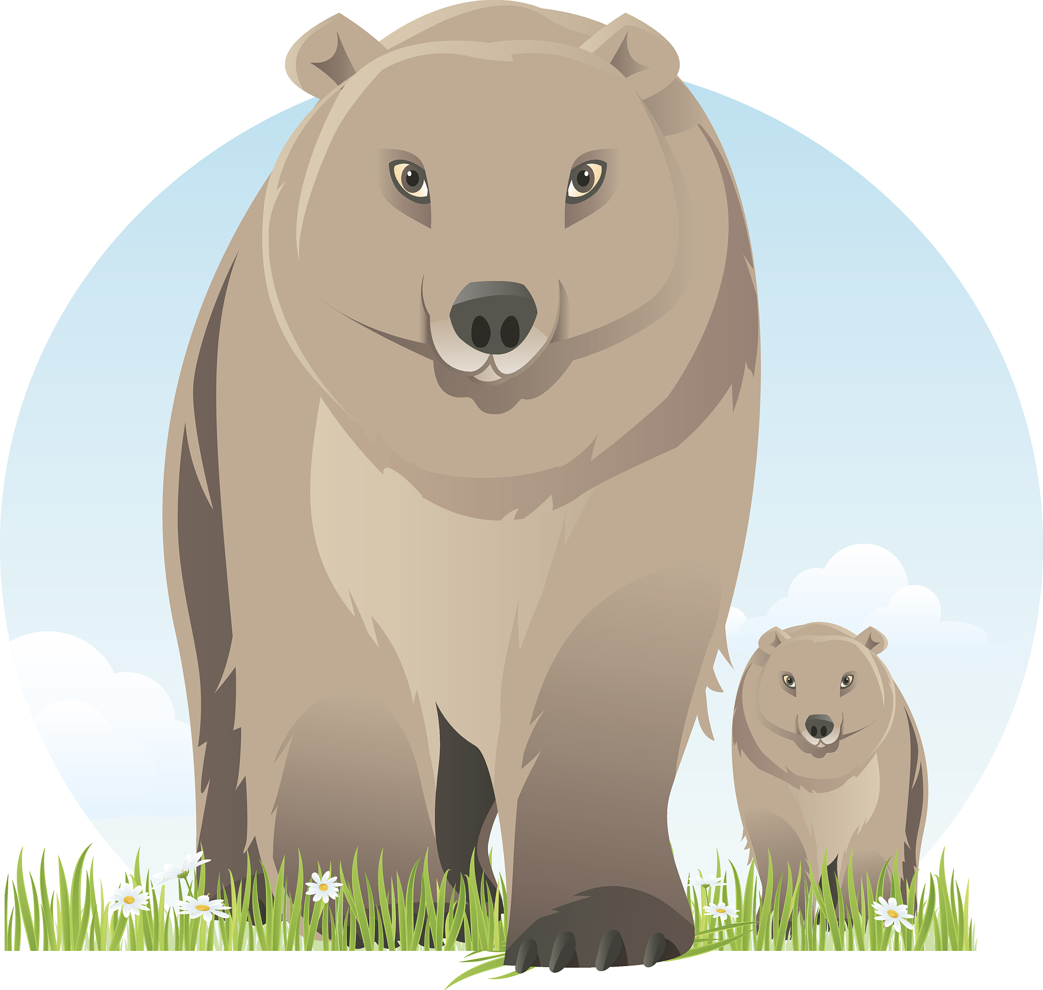 write-an-essay-about-Current-Situation-and-Dilemma-of-Chinese-animation