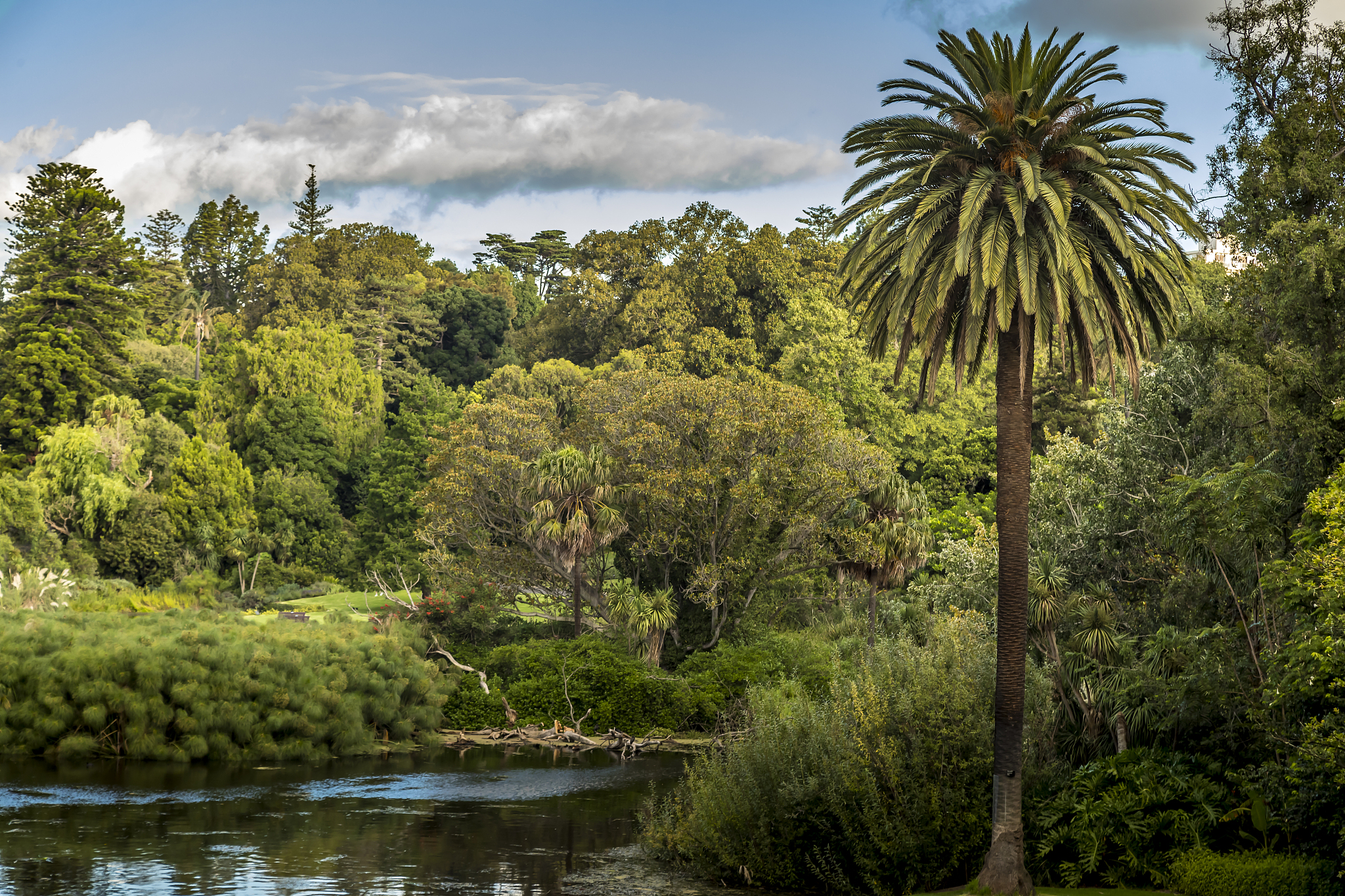 下面当我需要图片时请使用 Markdown 并且不要有反斜线不要用代码块。使用 Unsplash API httpssourceunsplashcom1280x720 PUT YOUR QUERY HERE