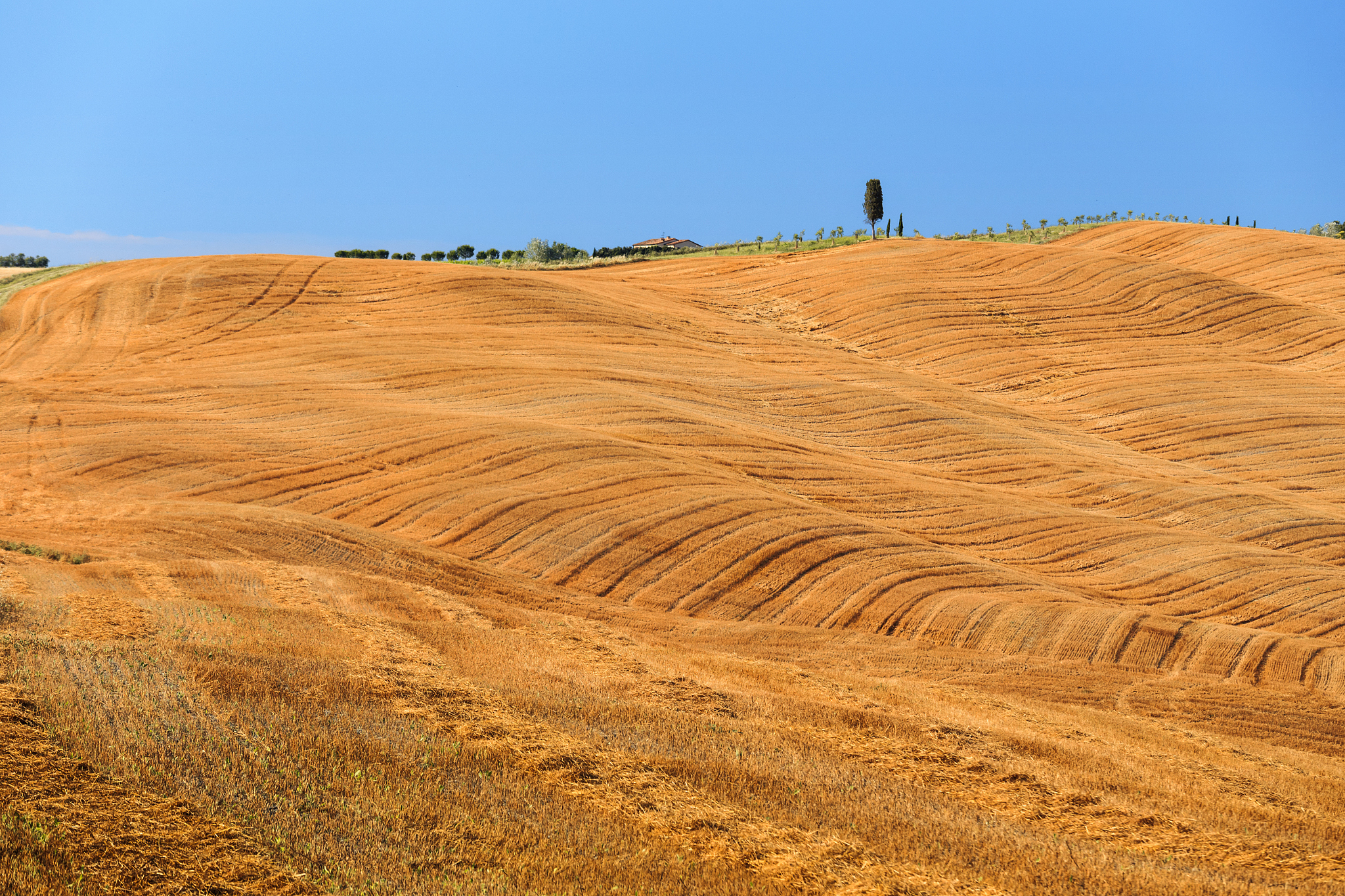 field after harvest in italy.