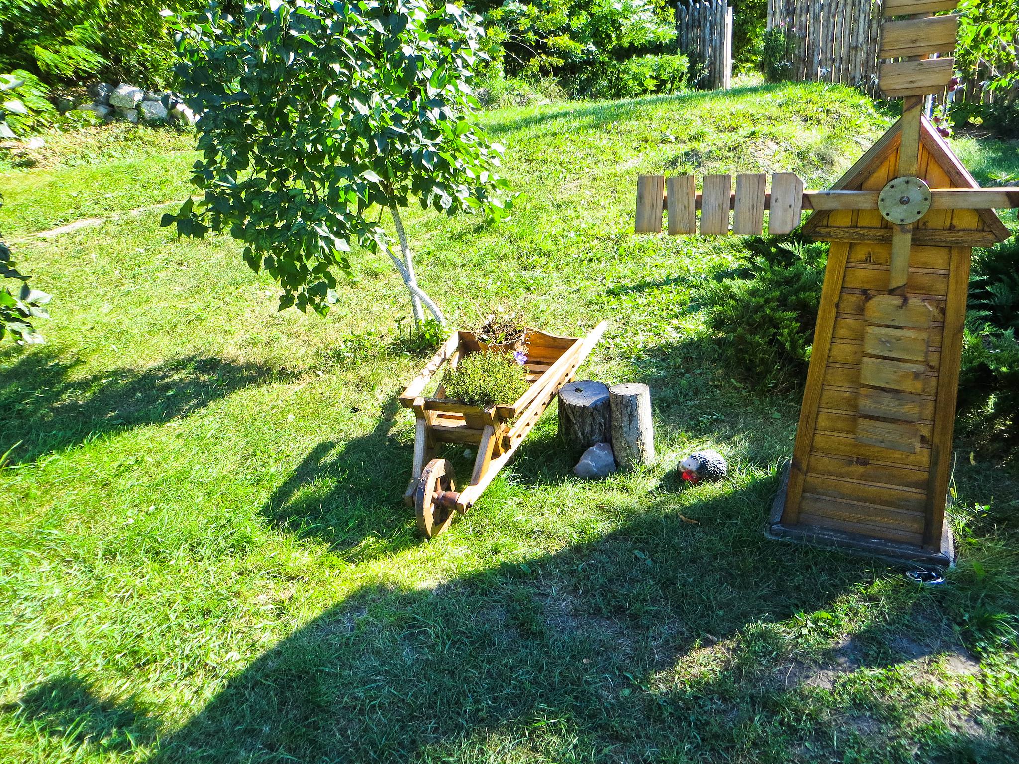 Gardener Hub: Your Guide to Beautiful Outdoor Spaces