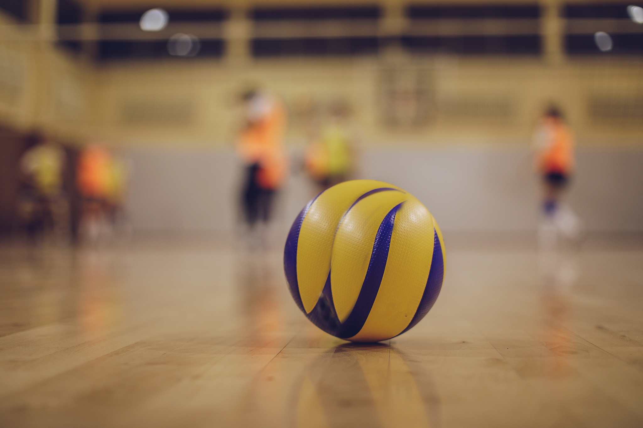 volleyball ball
