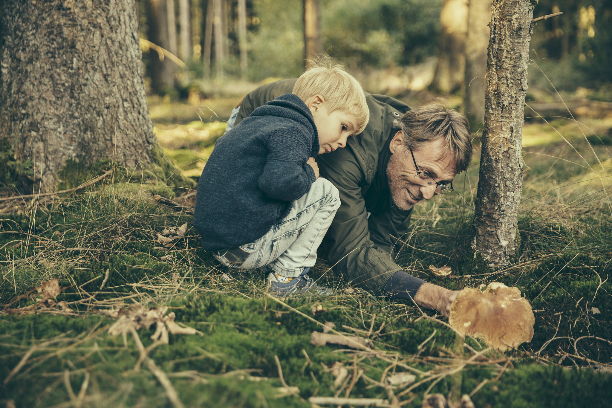 mature man collecting bay bolete mushrooms with little boy
