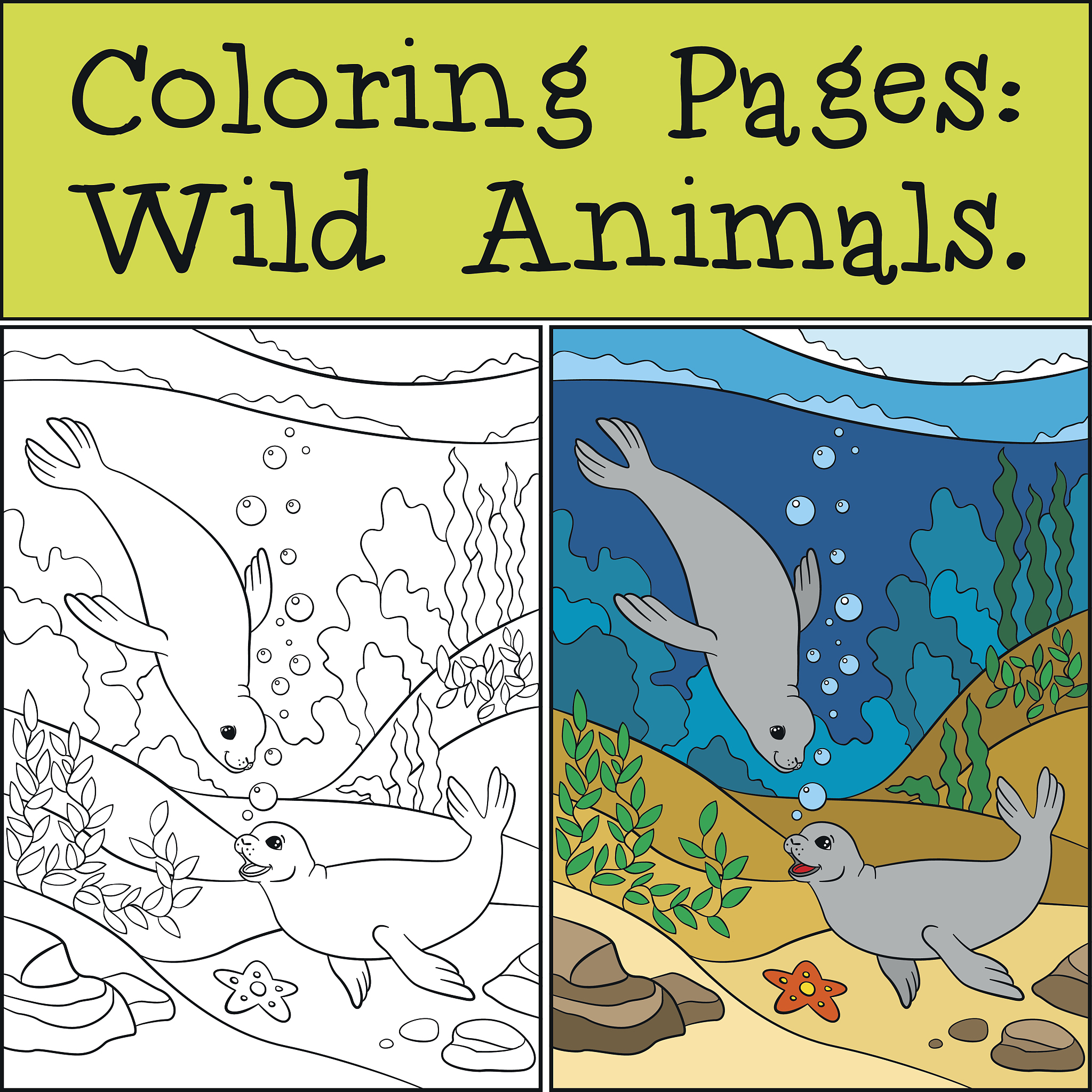 Canadian Journal of Animal Science: 出版商、出版周期和创刊年份