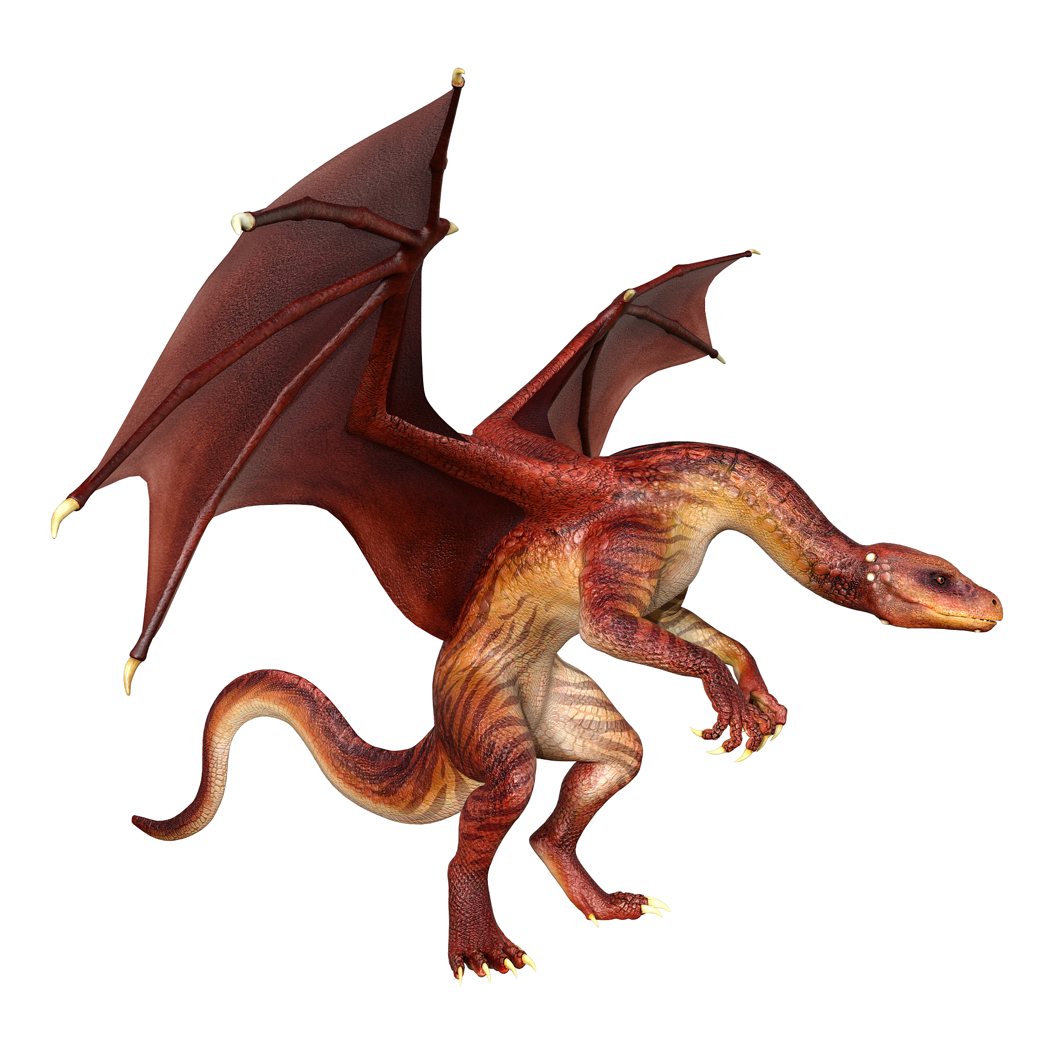 3d illustration fantasy dragon on white