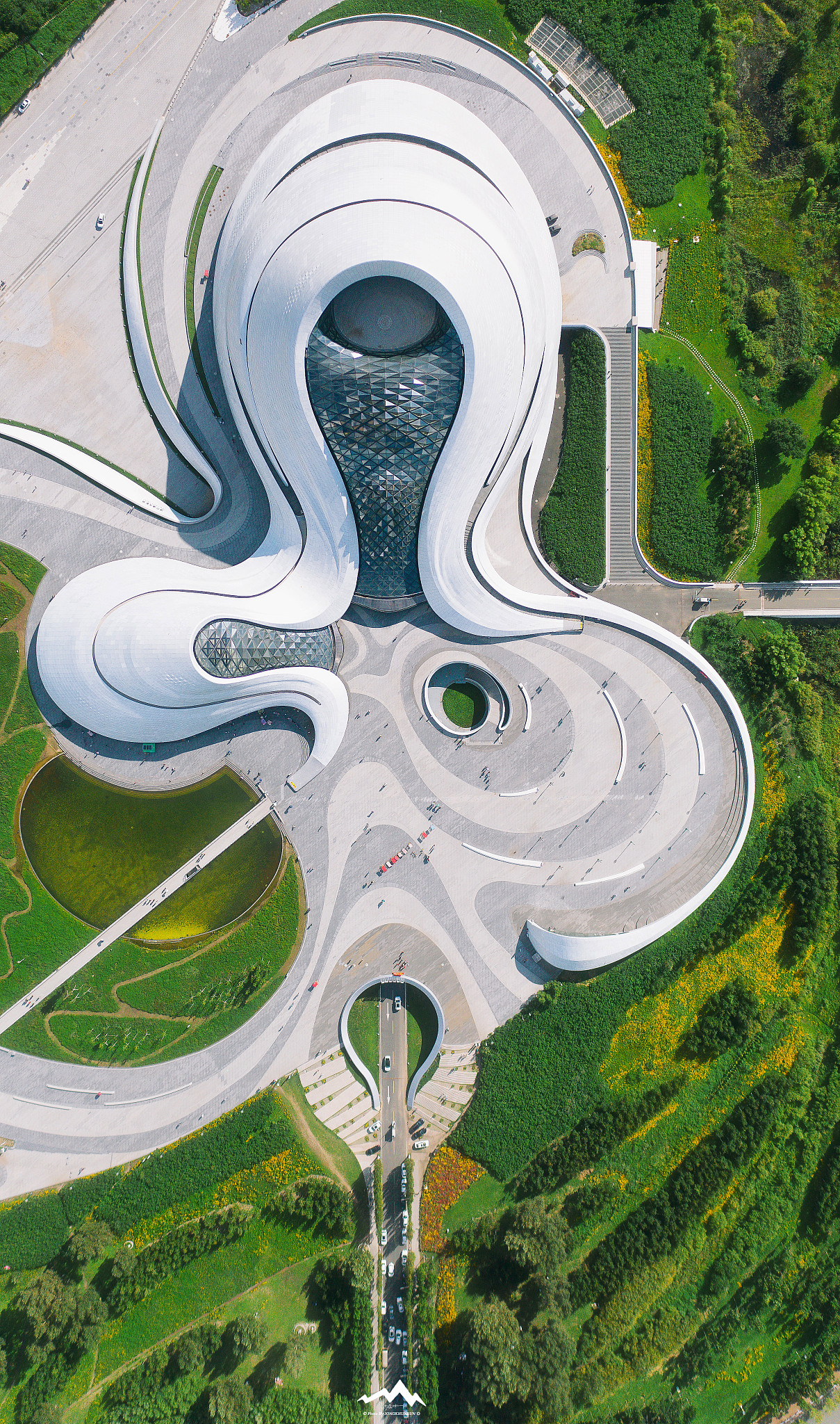 简述脂肪酸β氧化过程