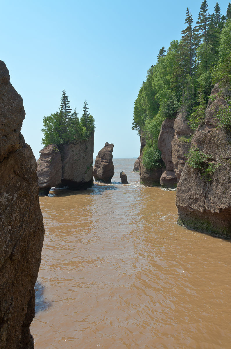 金铲铲之战怪兽入侵最佳阵容
