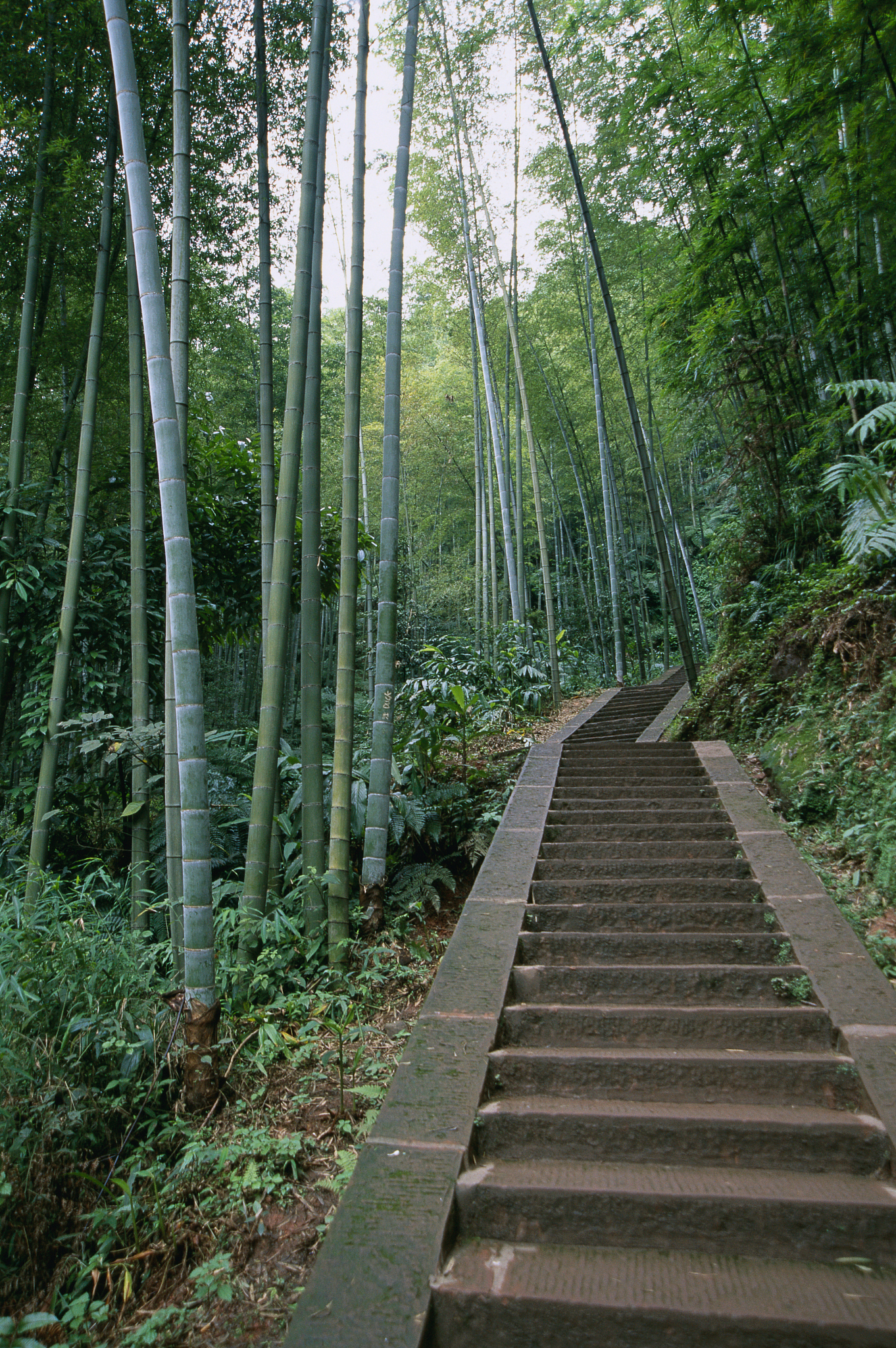 四川省档案学校官方网站_网址