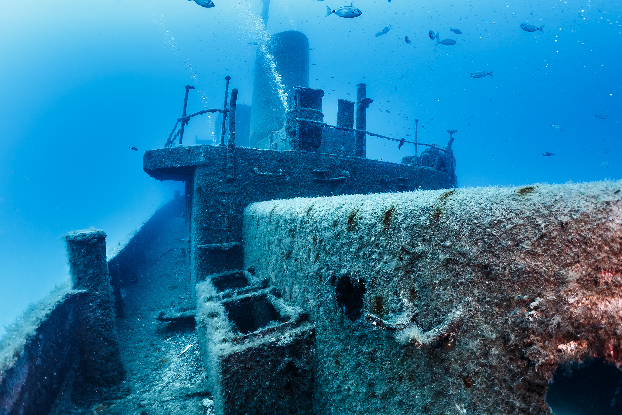 wreck rozi