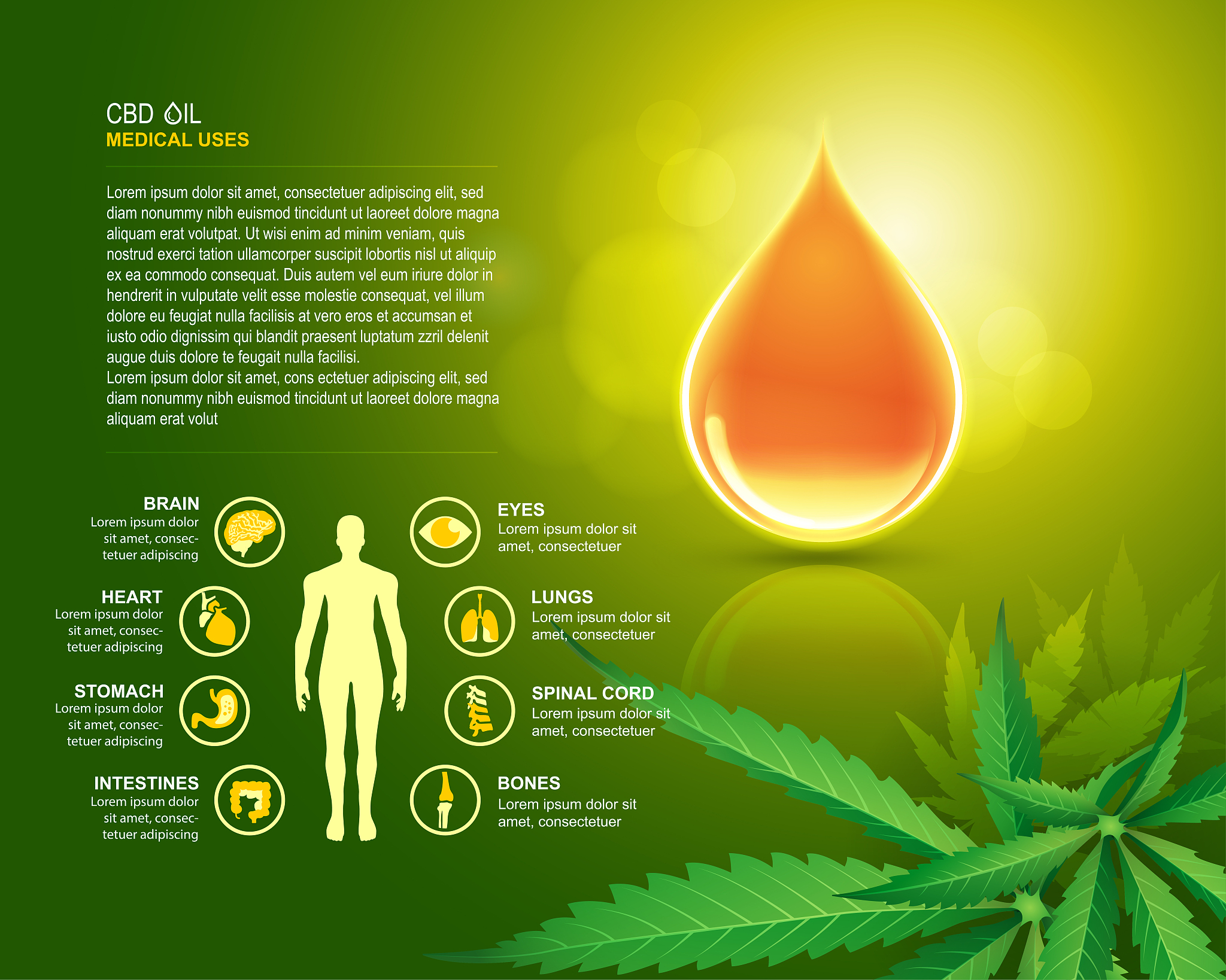 去除食油中二氧化硫残留的有效方法