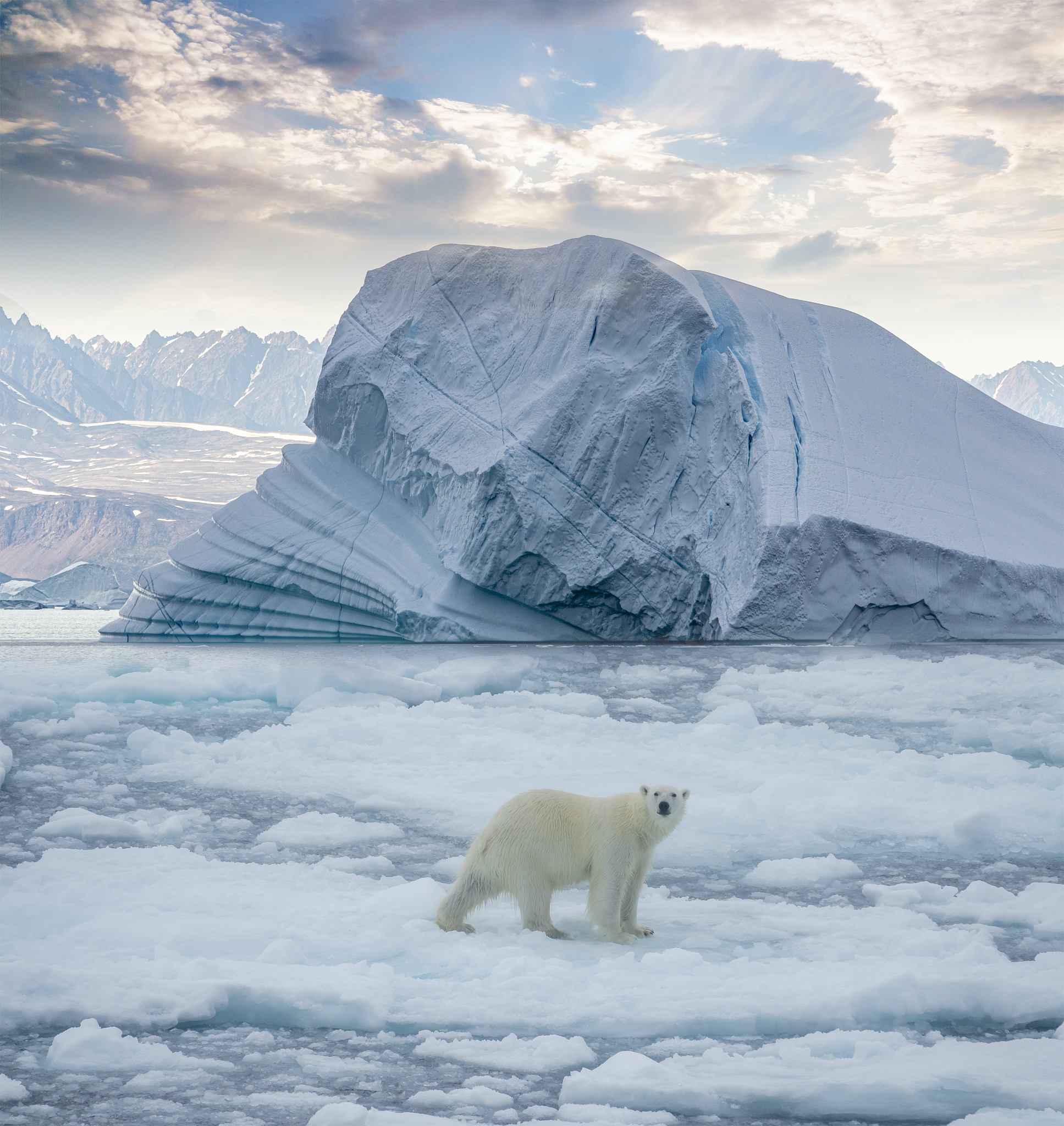 你是一名大学生需要写一份《冰冻星球》纪录片观后感1000字