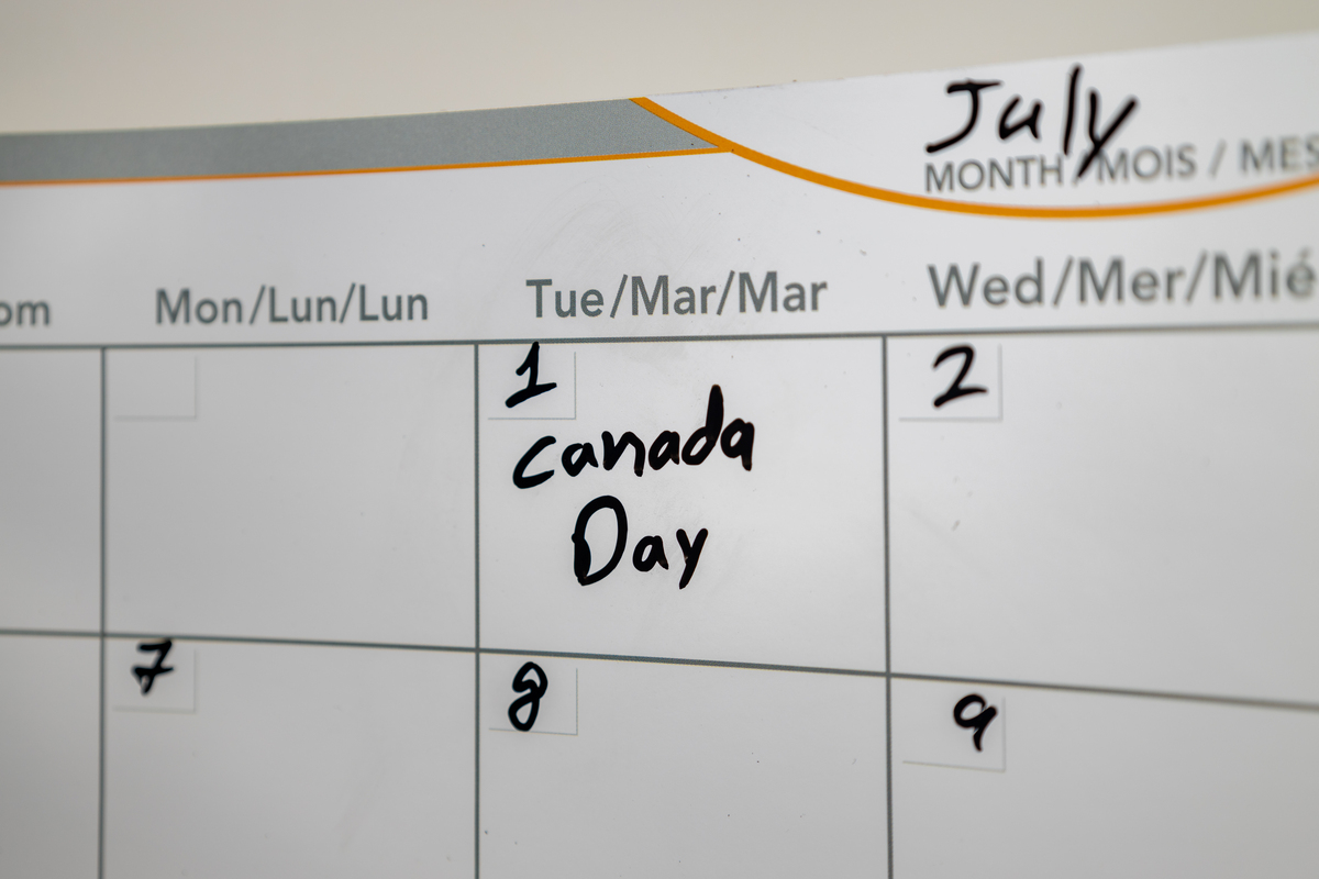 Weekly Accomplishments: What I've Done and What's Left