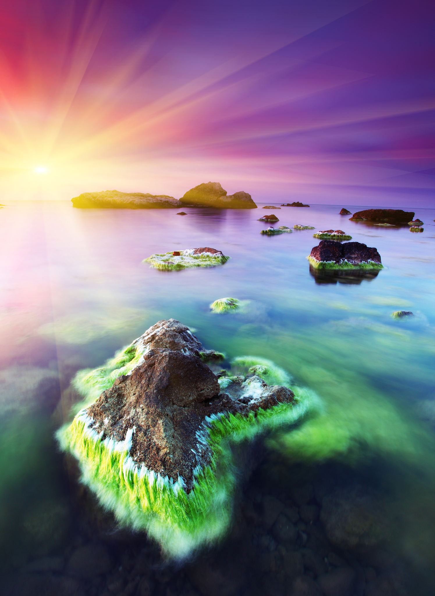 beautiful summer landscape with the seaside