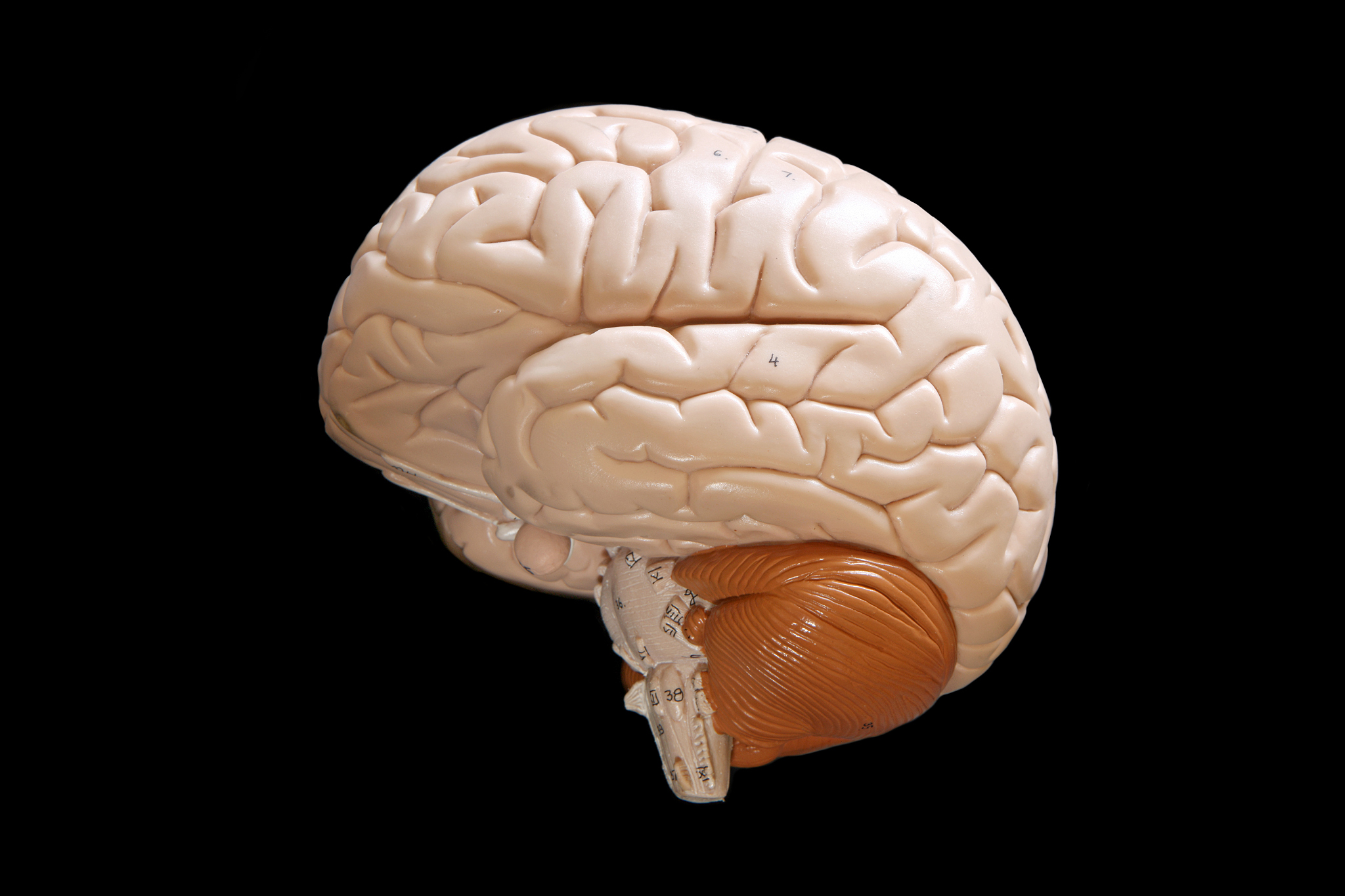 数学诱导公式记忆技巧：轻松搞定复杂公式
