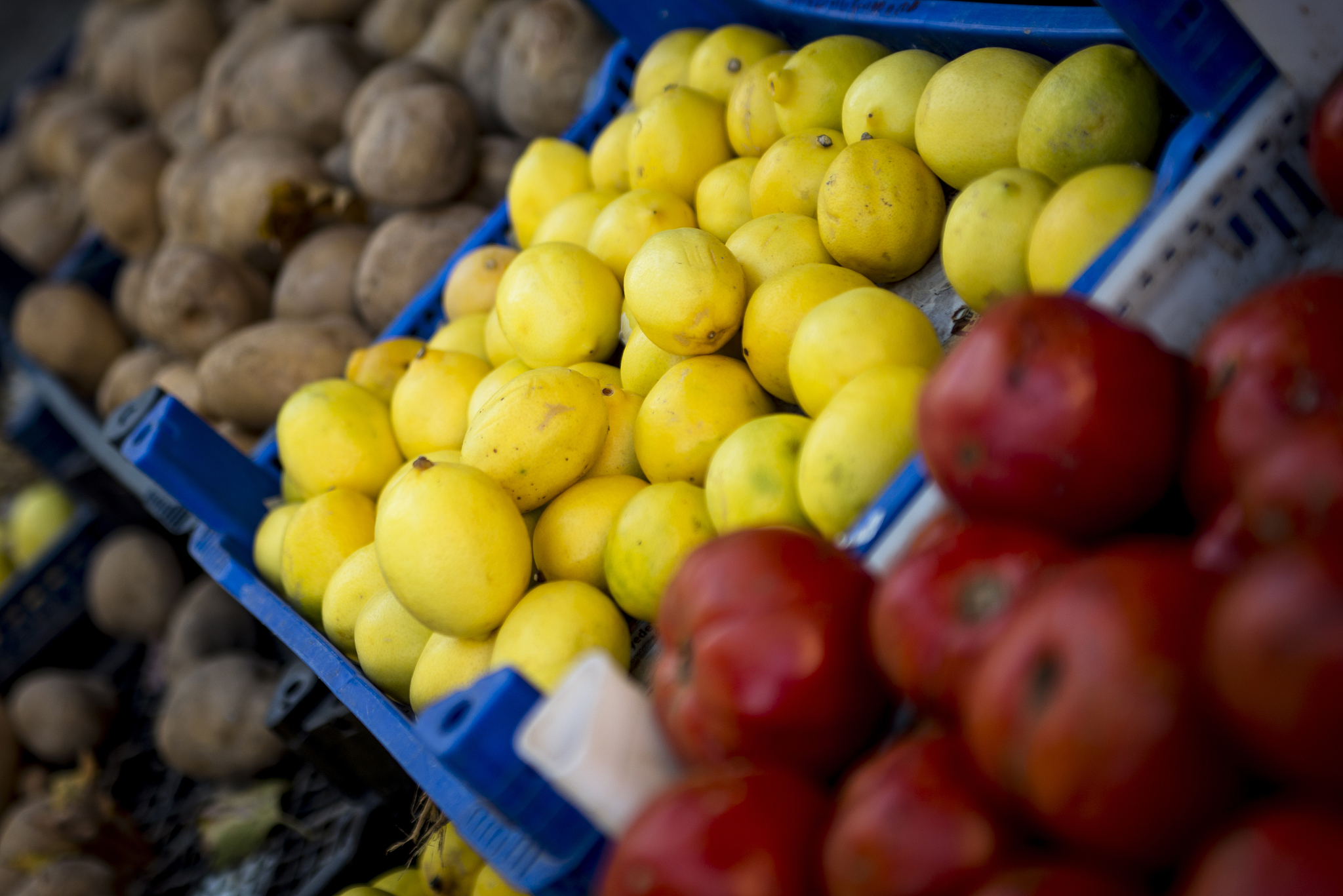 vegetables on the market.