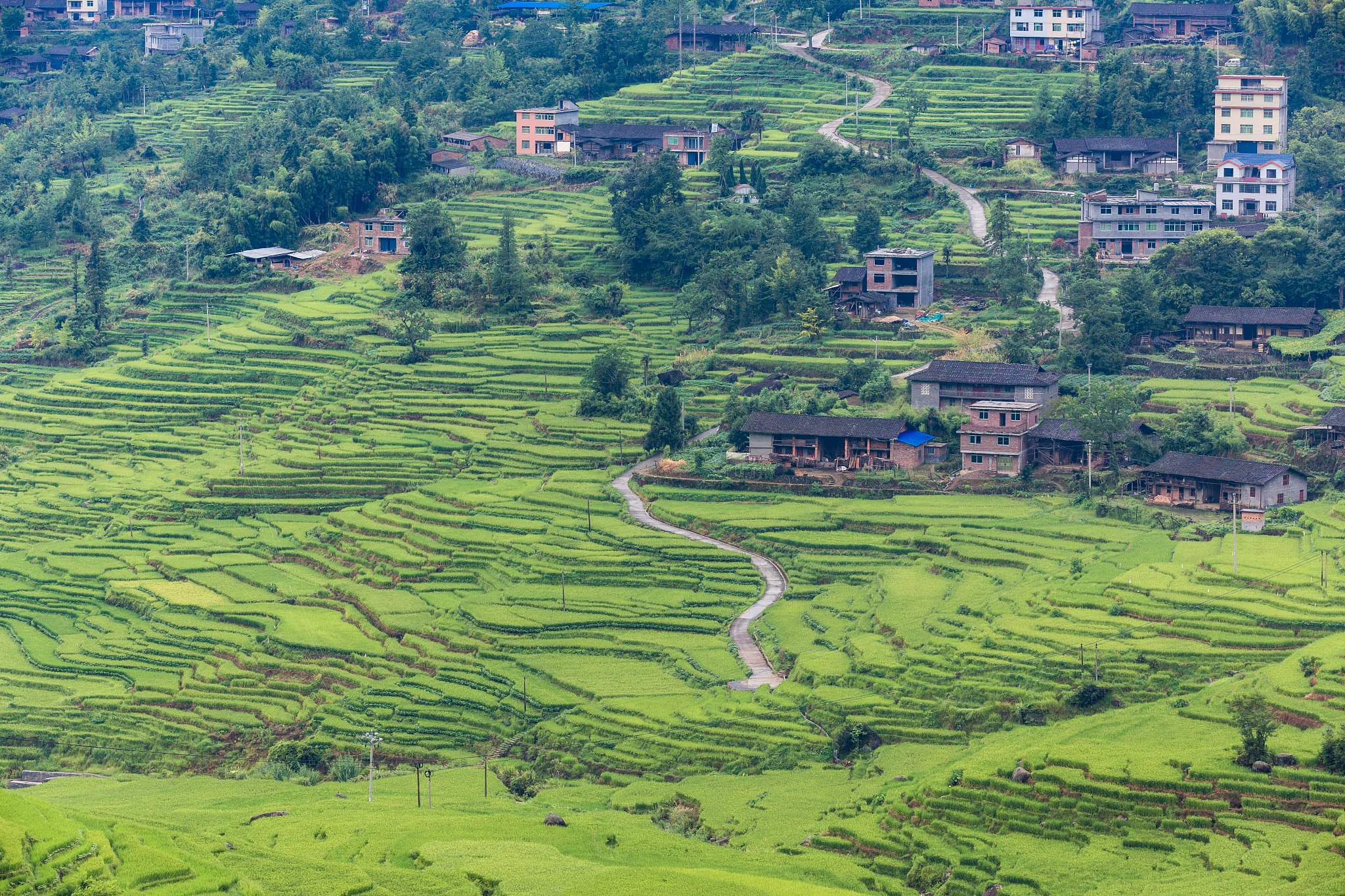 福建农业职业技术学院金融管理专业课程设置：全面培养金融管理人才