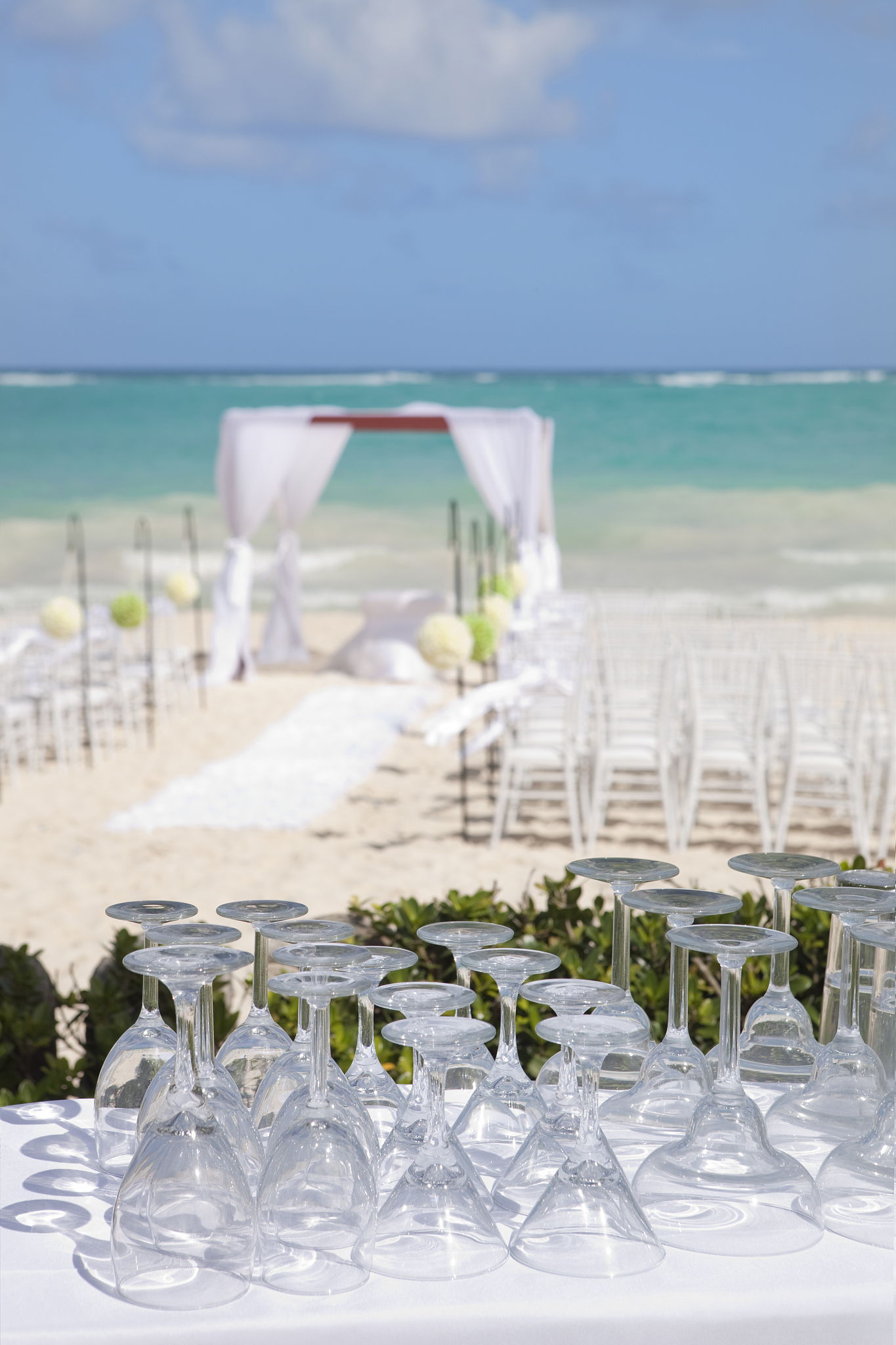 海洋爱情之旅：浪漫体验，创意无限