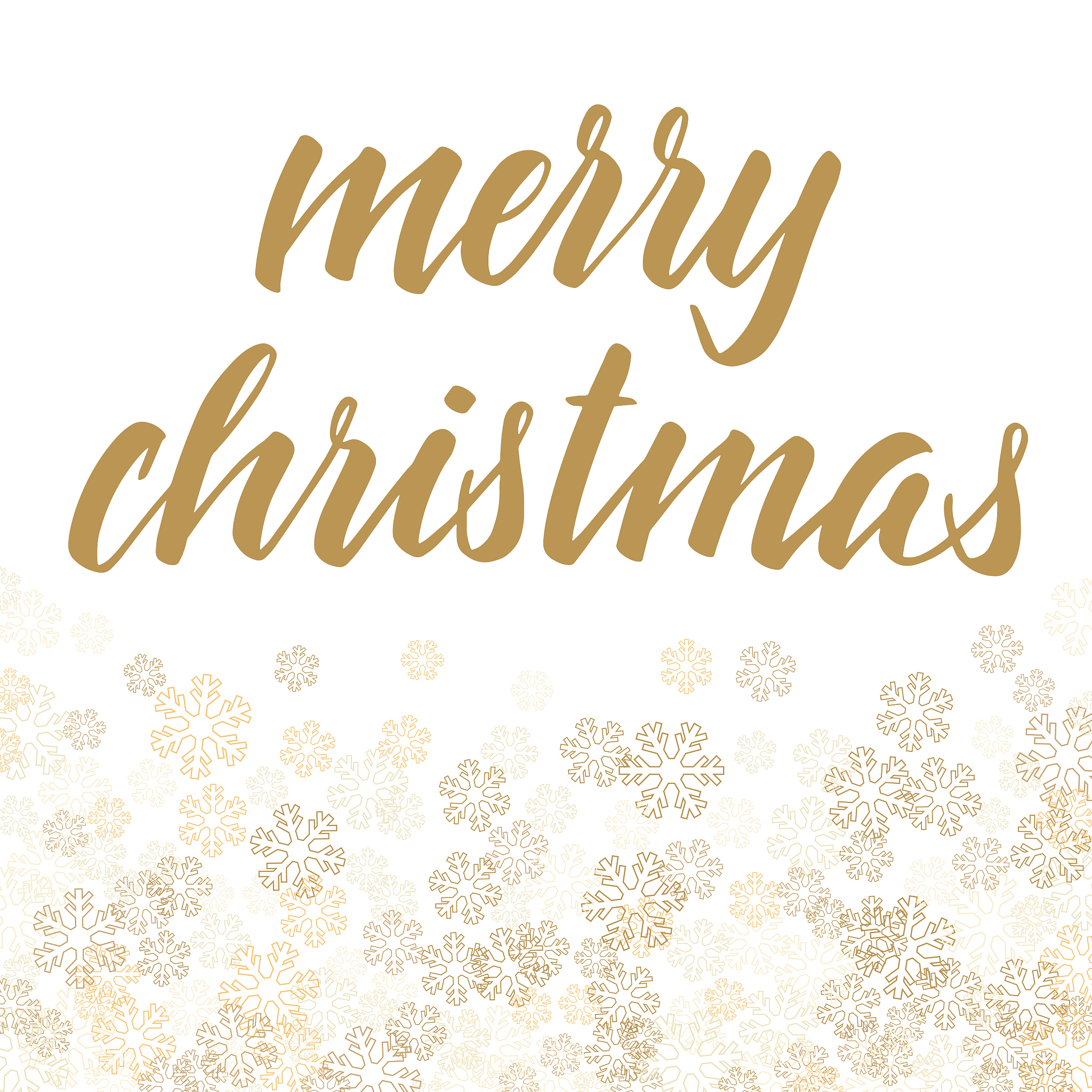 帮我写一个120字左右的英语作文要求如下You are a member of the Classic Culture Association in your universityIn order to celebrate Confucius birthday the association decides to hold a Confucius Cultural Festival孔子文化节on2