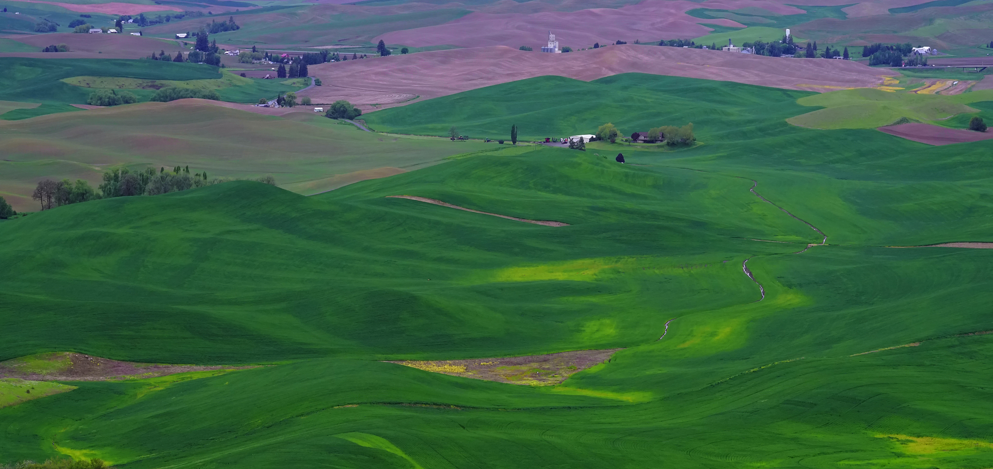 palouse at eastern washington