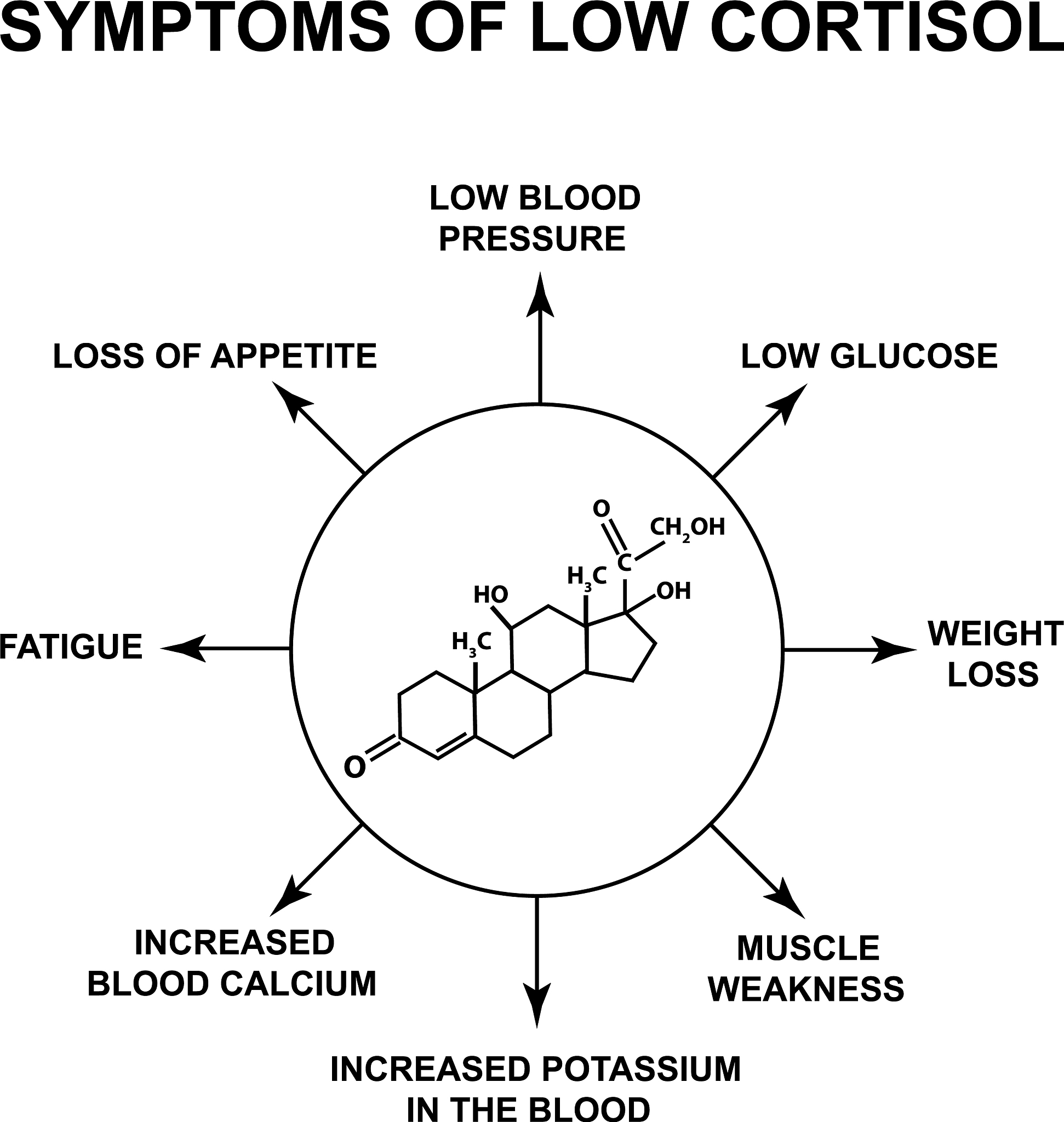 Protein Binding Pocket Steric Hindrance: Definition and Importance