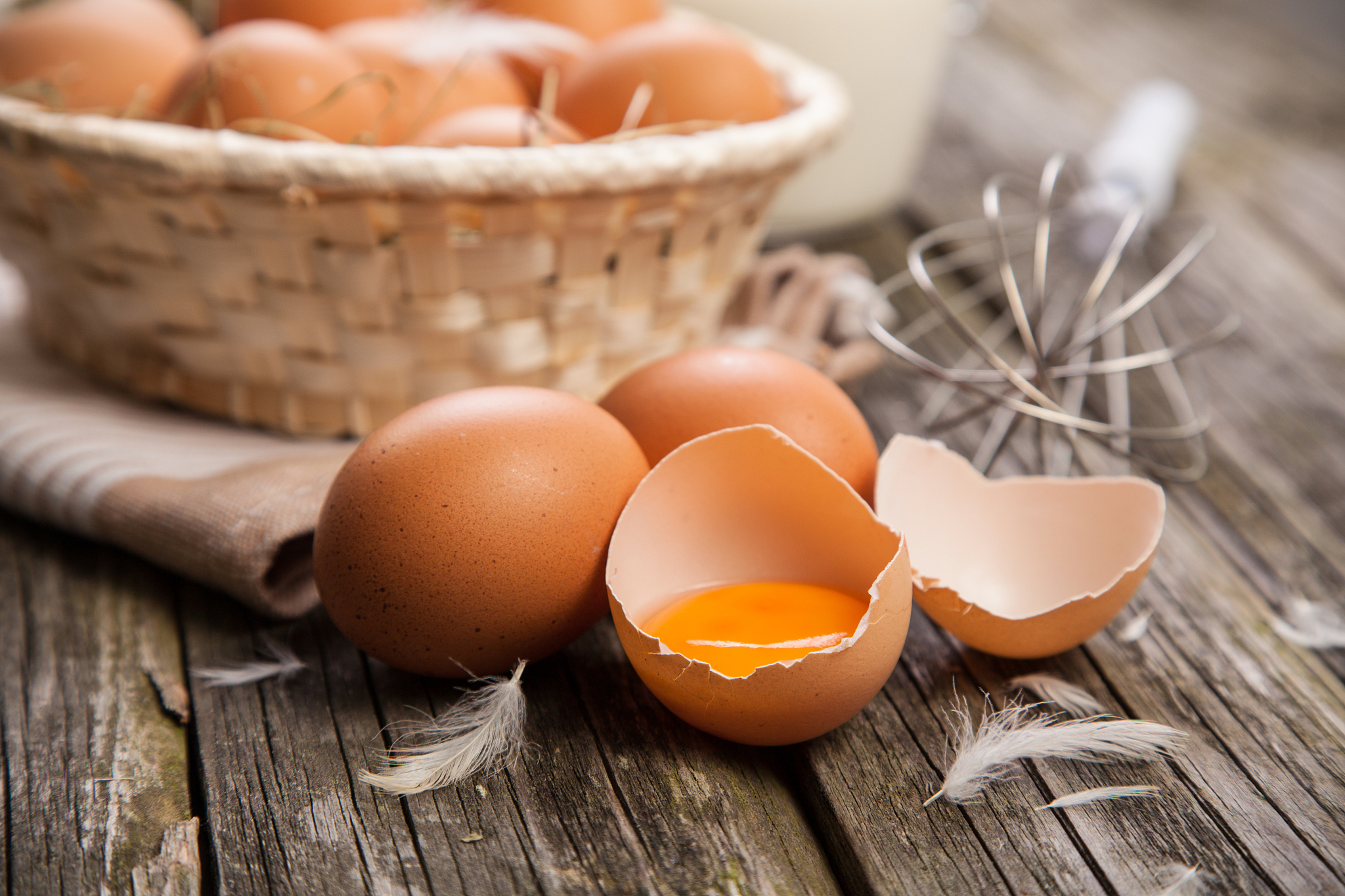 fresh organic eggs