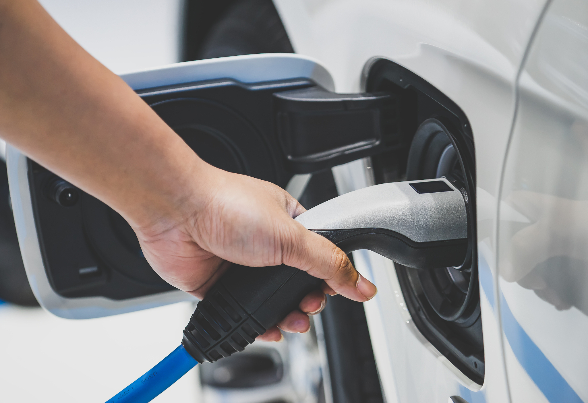 少年未来可期，我们未来再见！| 幼儿园毕业寄语