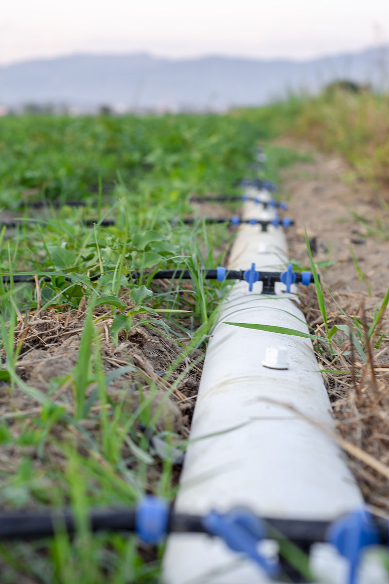 水肥管道系统设计方案