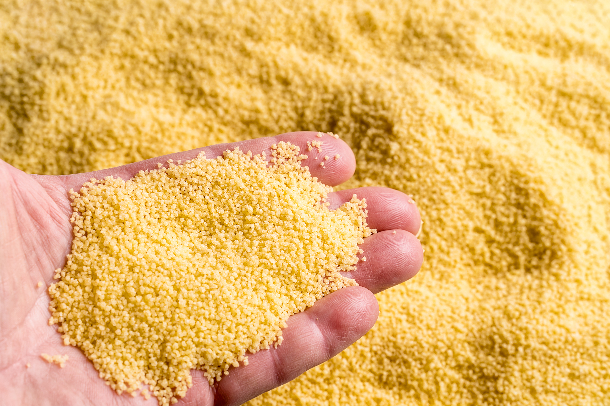 cuscus in a woman's hand over cuscus background.
