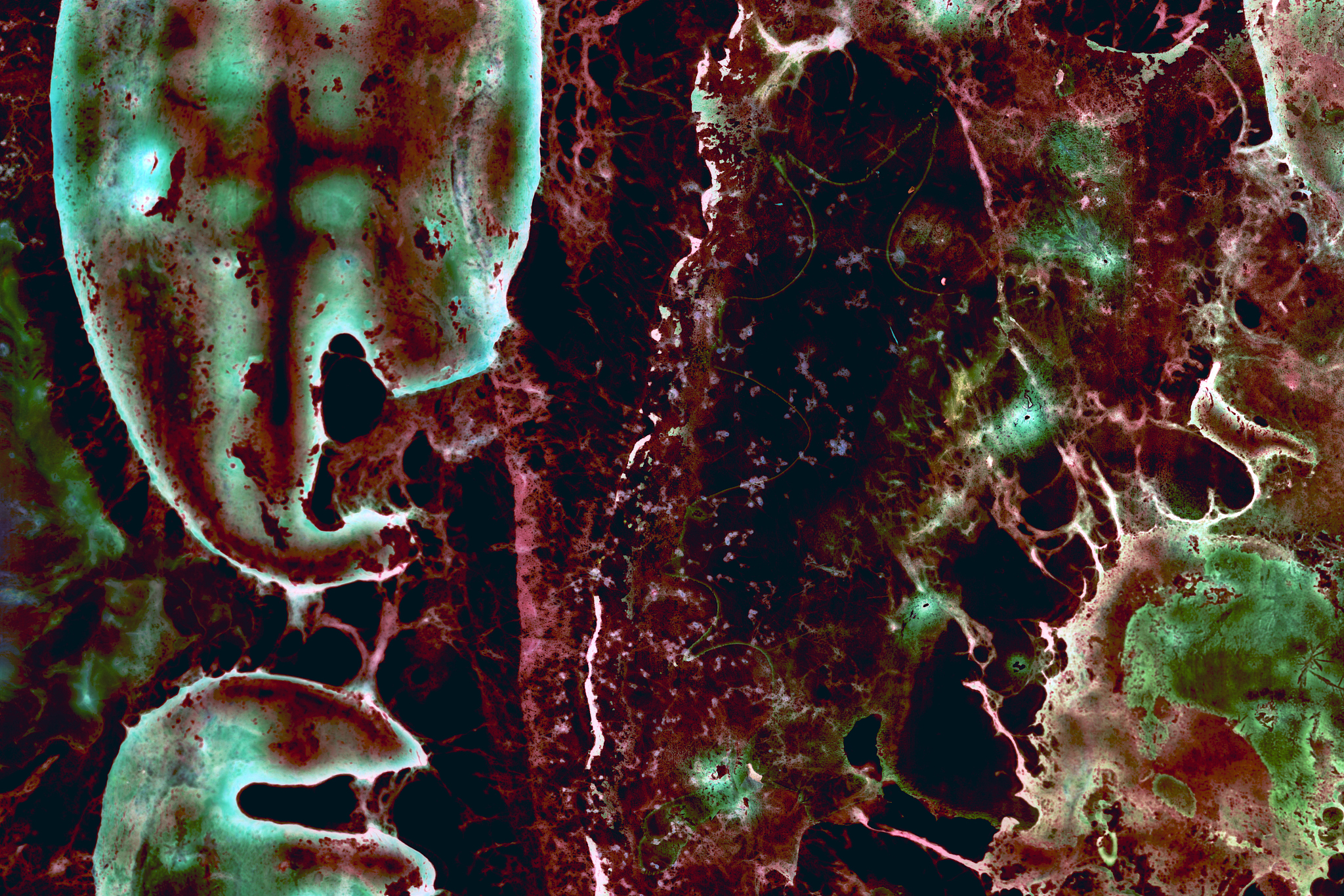 物体变黄的原因：氧化、日晒、污染、衰老等