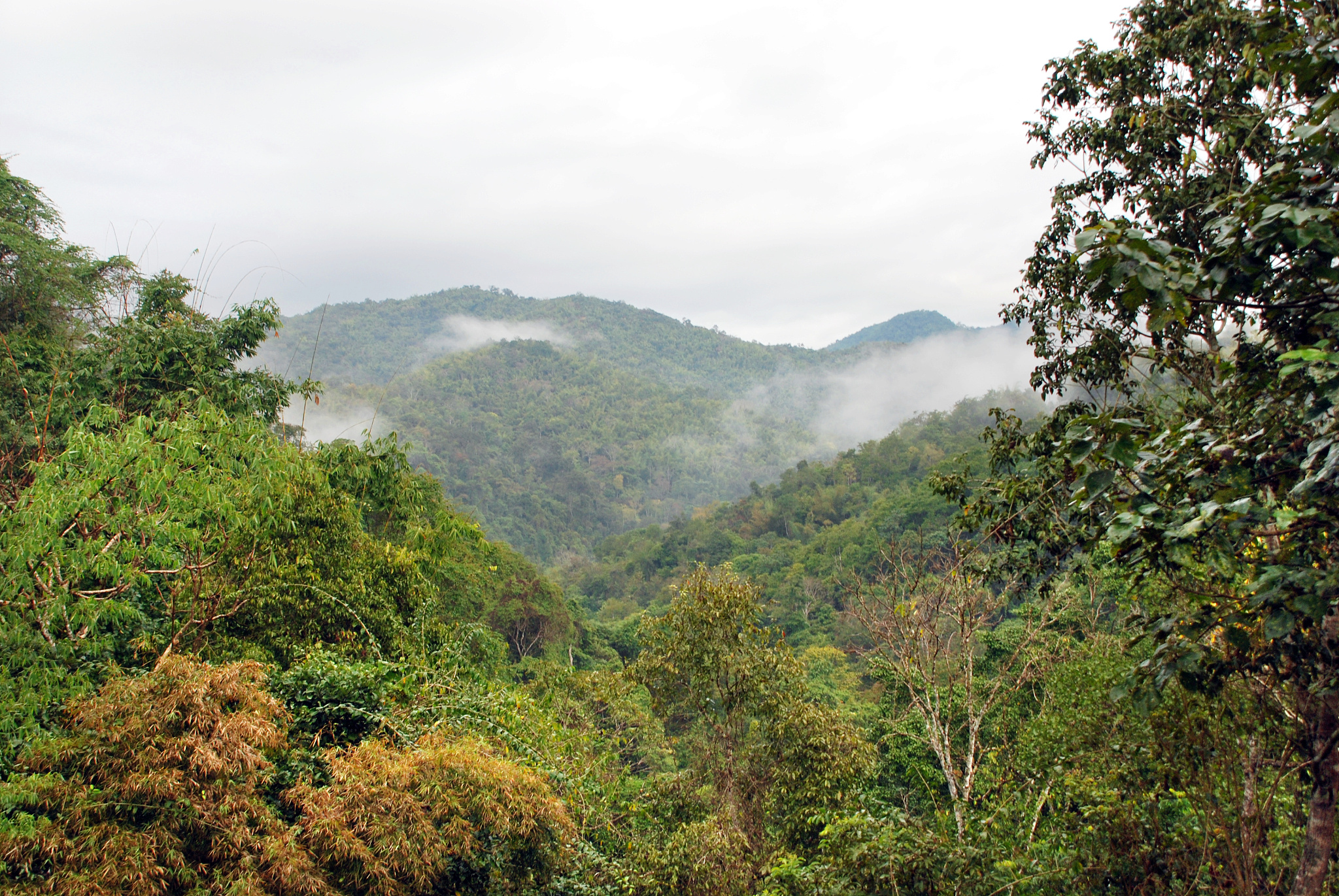 云南旅游职业学院(中专部)医学检验技术专业就业前景分析