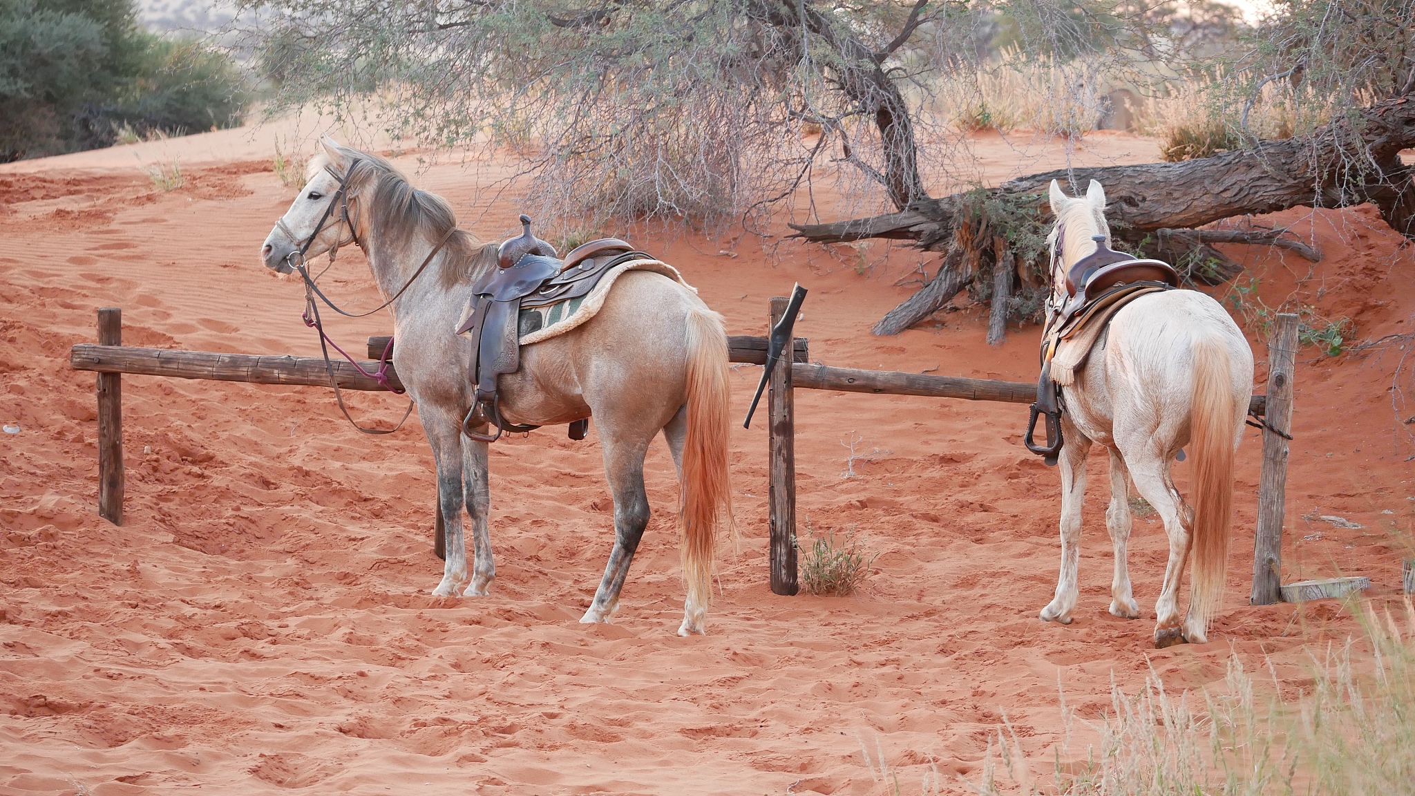 namibia