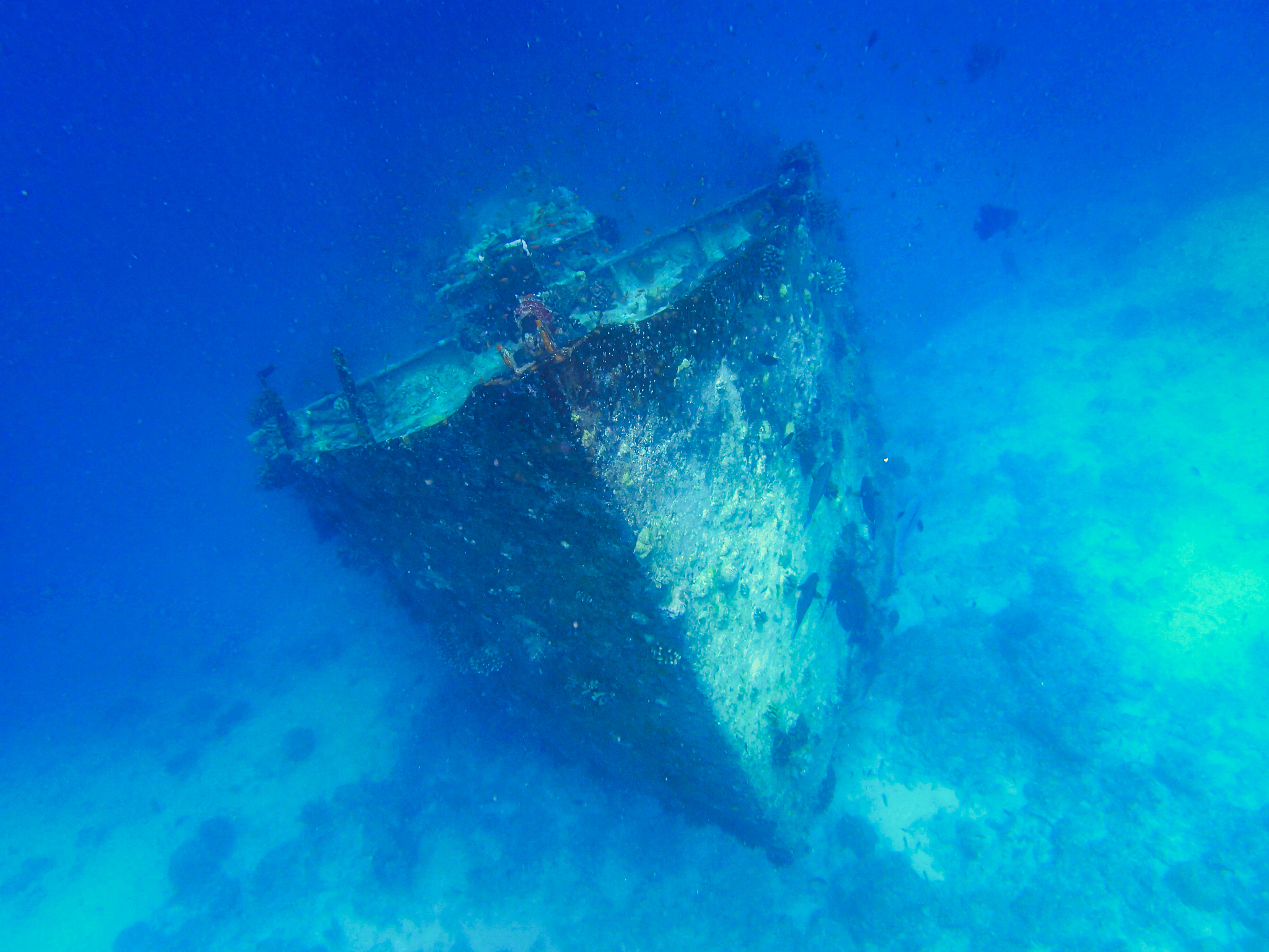 shipwreck in the sea - kuredu, maldives