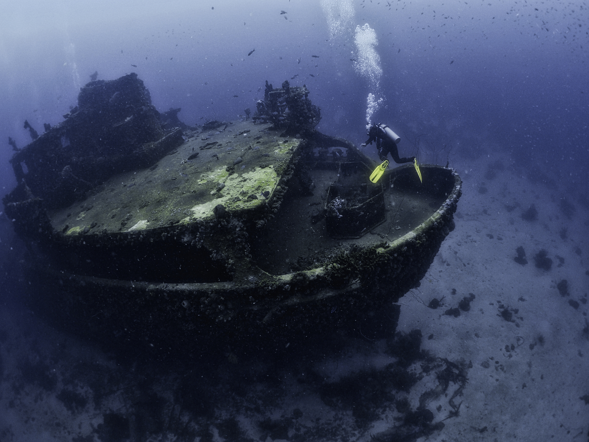 stern of the superior producer