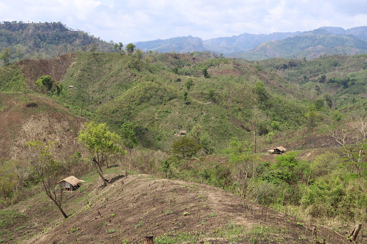 修改文章K县位于广西东南部区域面积为2257多平方公里下辖15个镇、215个行政村、12个社区。该县拥有丰富的自然资源是全国沙田柚最大的生产基地。除此之外该县还拥有82万亩的山地草场其中包括1085万亩的山地草丛草场、4万亩的疏林、6万亩的灌丛类草场以及132万亩的农林间隙地草场。此外该县还出产石寨下烟村的霞烟鸡以及味甘芳香、畅销欧美的玉桂、大红八角、荔枝、龙眼、红菇、松脂、茶叶、桑蚕、中草药等农