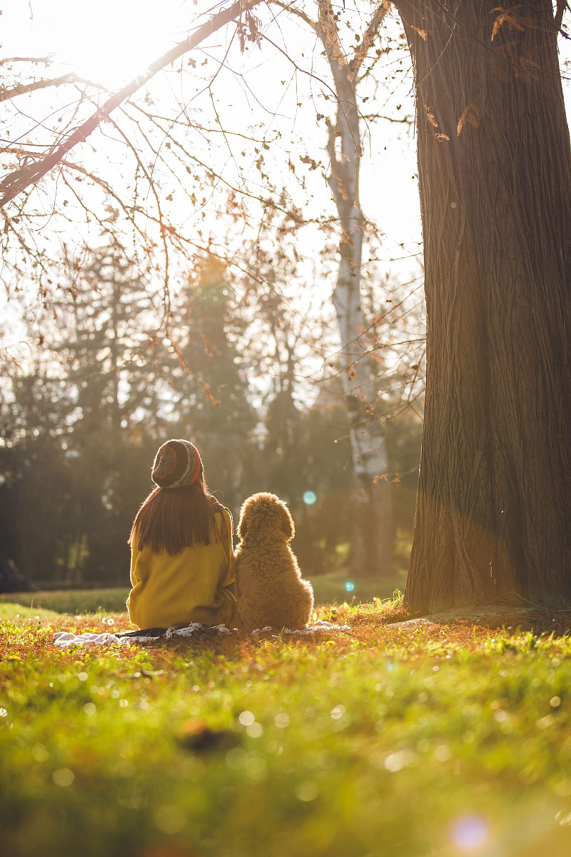 四年级作文：我的动物朋友 - 小猫与金鱼