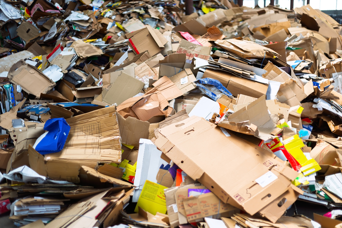 八百字回收快递包装盒劳动教育对当代大学生的意义