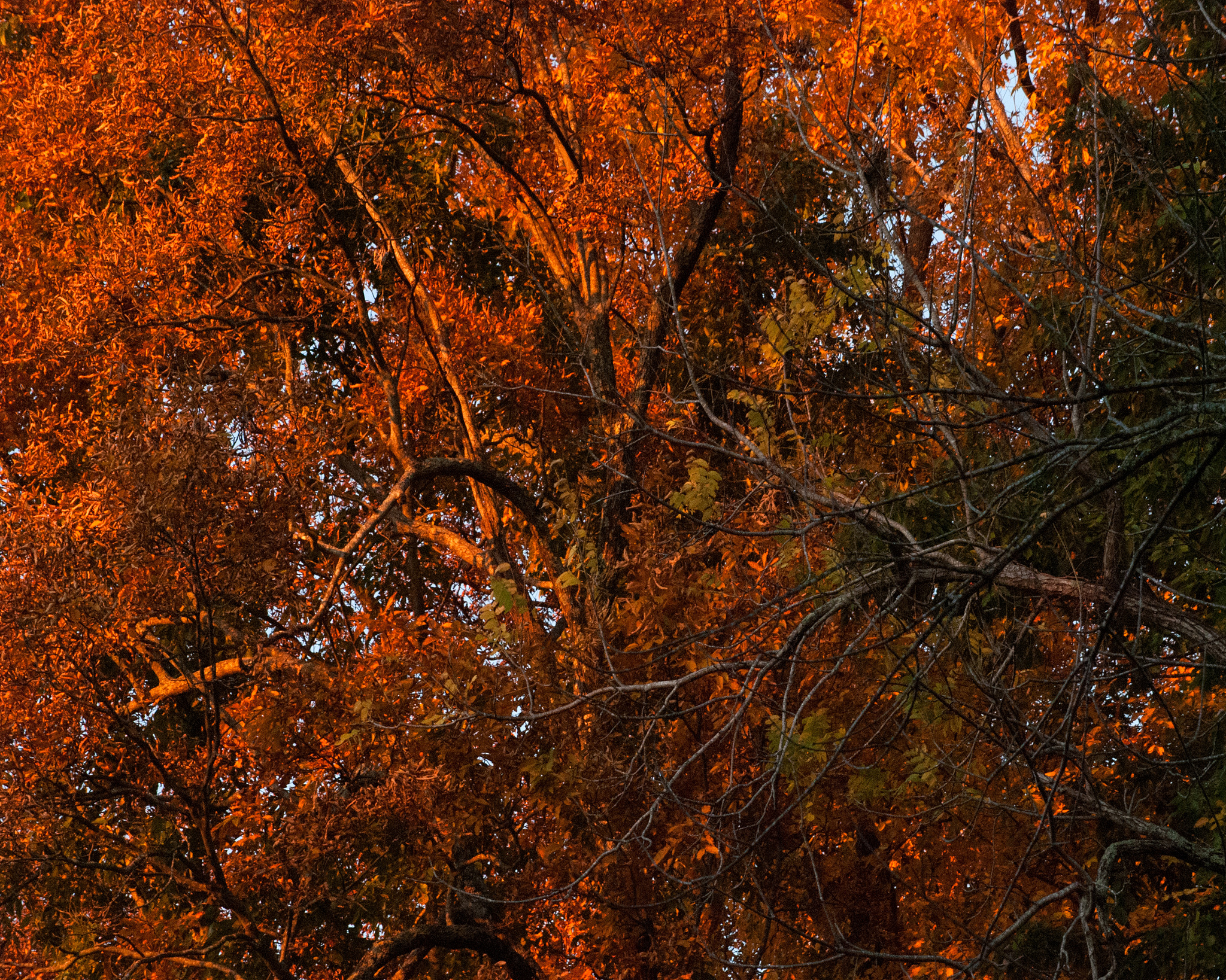 旅游业感想2000字