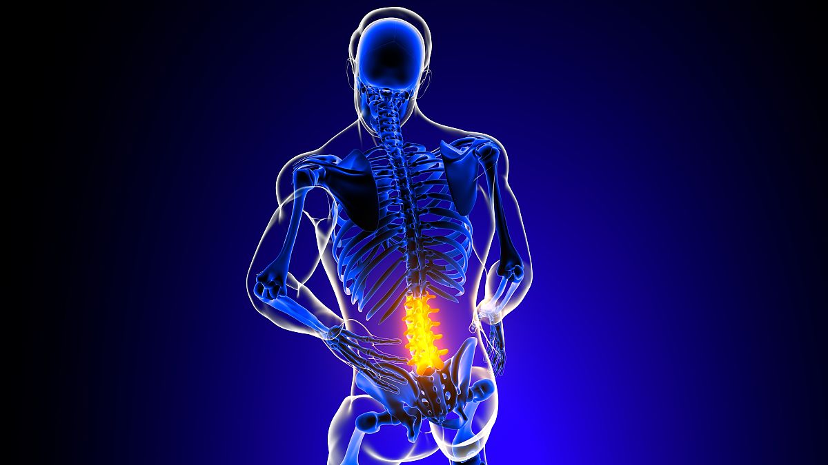 贵州医科大学网站网址以及联系电话是多少