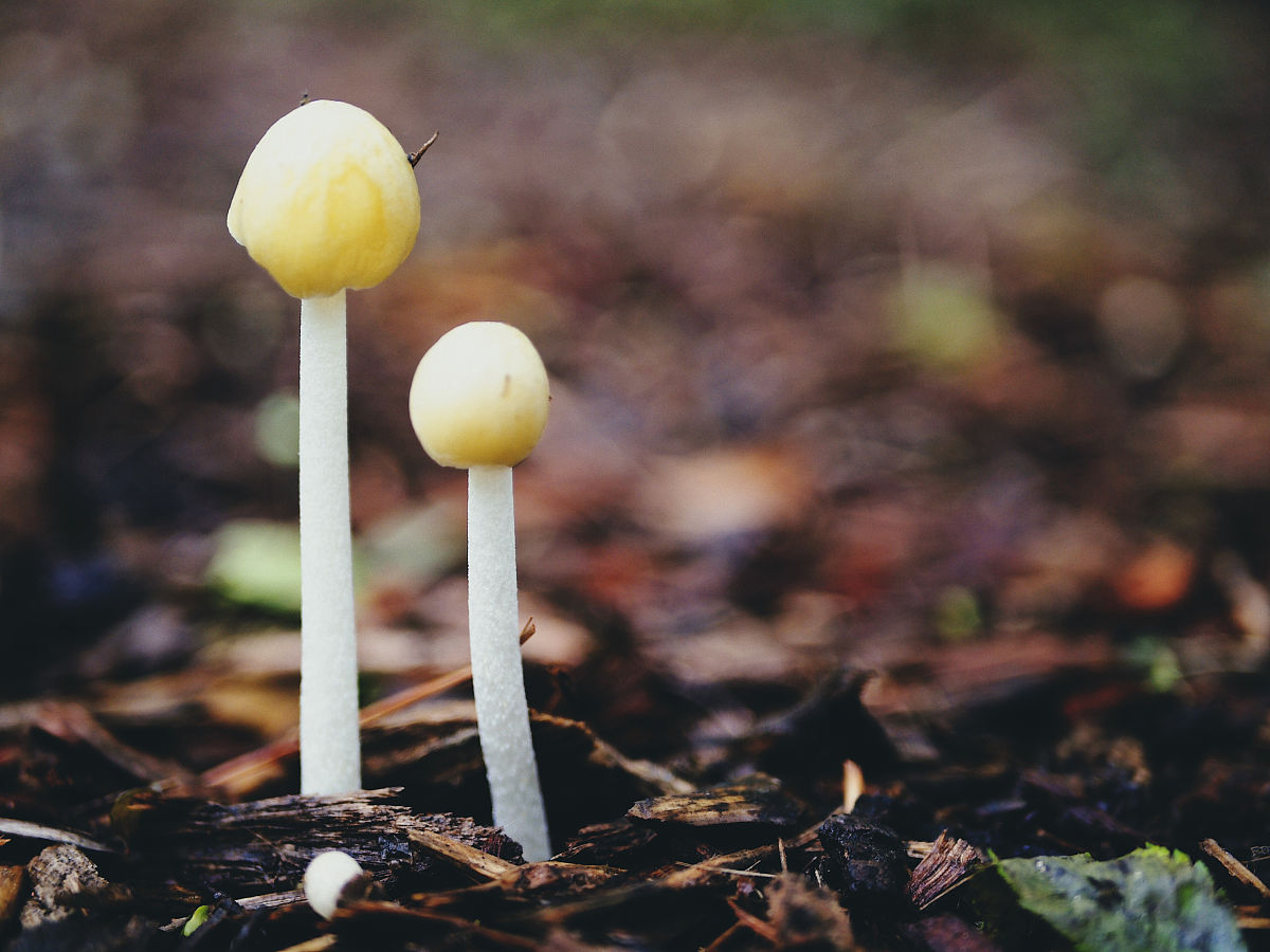 余生做个花生的女人一段话怎么说出来