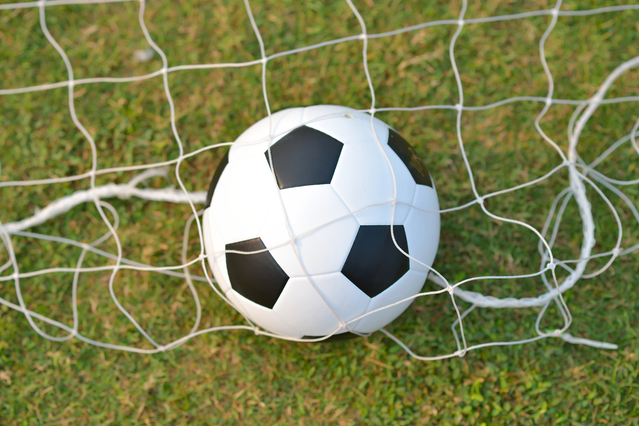 soccer field