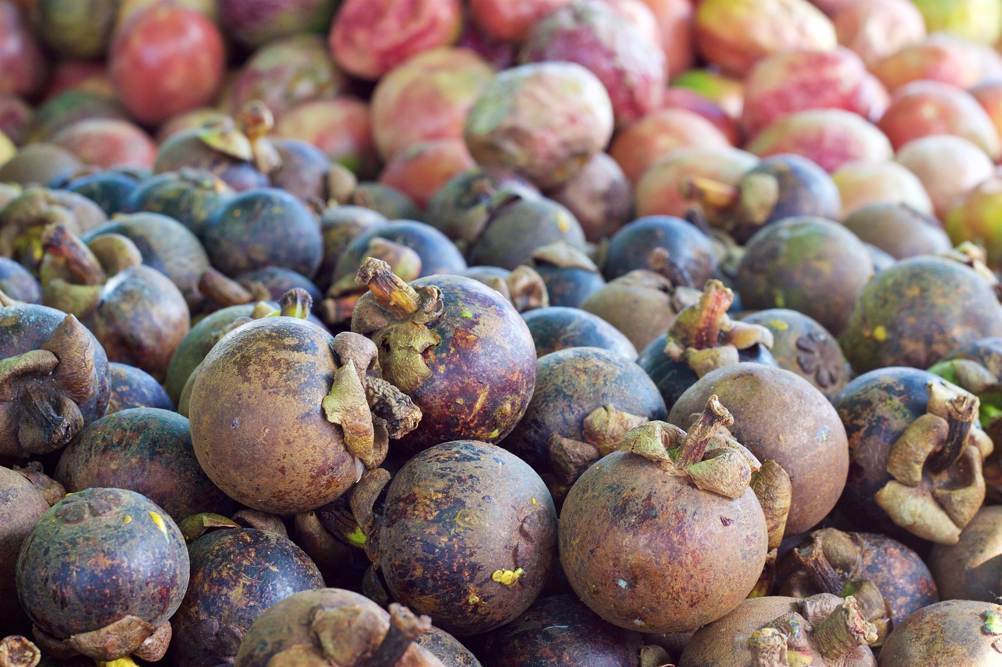 荔枝核煮水有什么危害