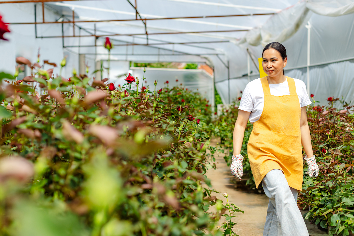 余庆县中等职业学校果蔬花卉生产技术专业就业方向：从种植到销售，多领域发展