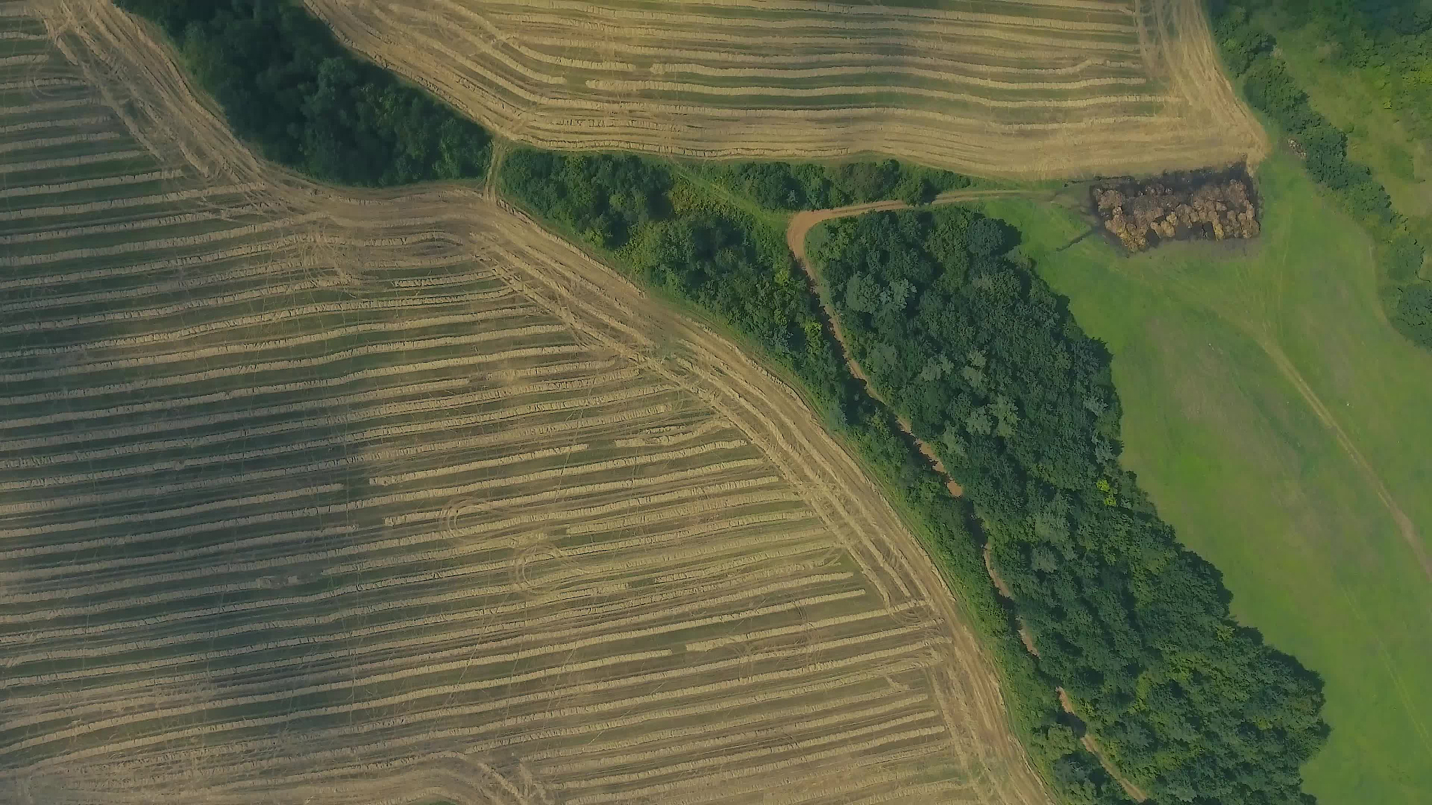 aerial view of forest, field and green grassland, summer.