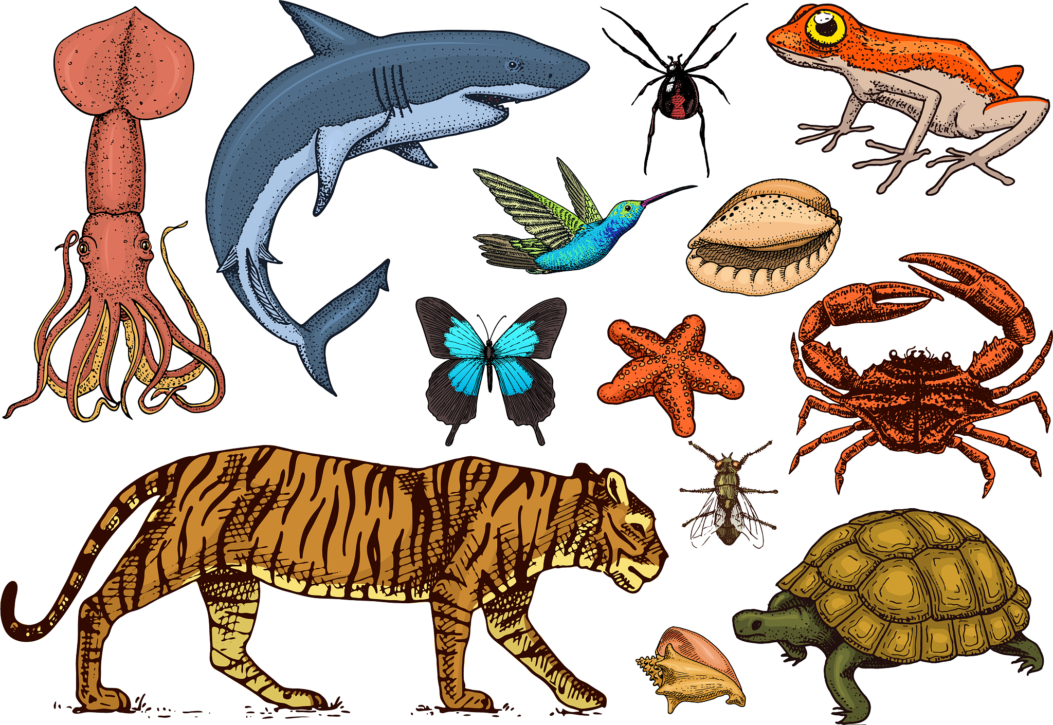 与人类同一生物科的动物有