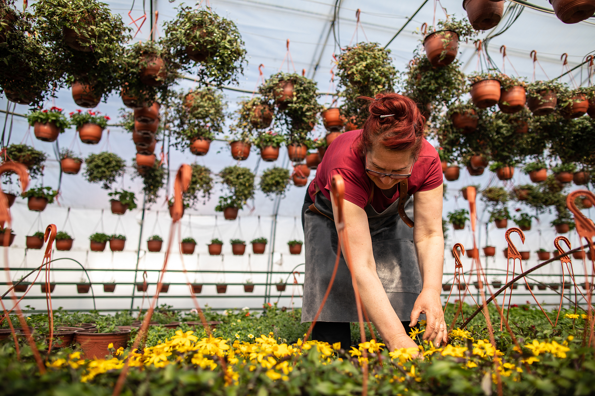 绍兴园艺学校2023年招生：联系方式、学校介绍和报名指南