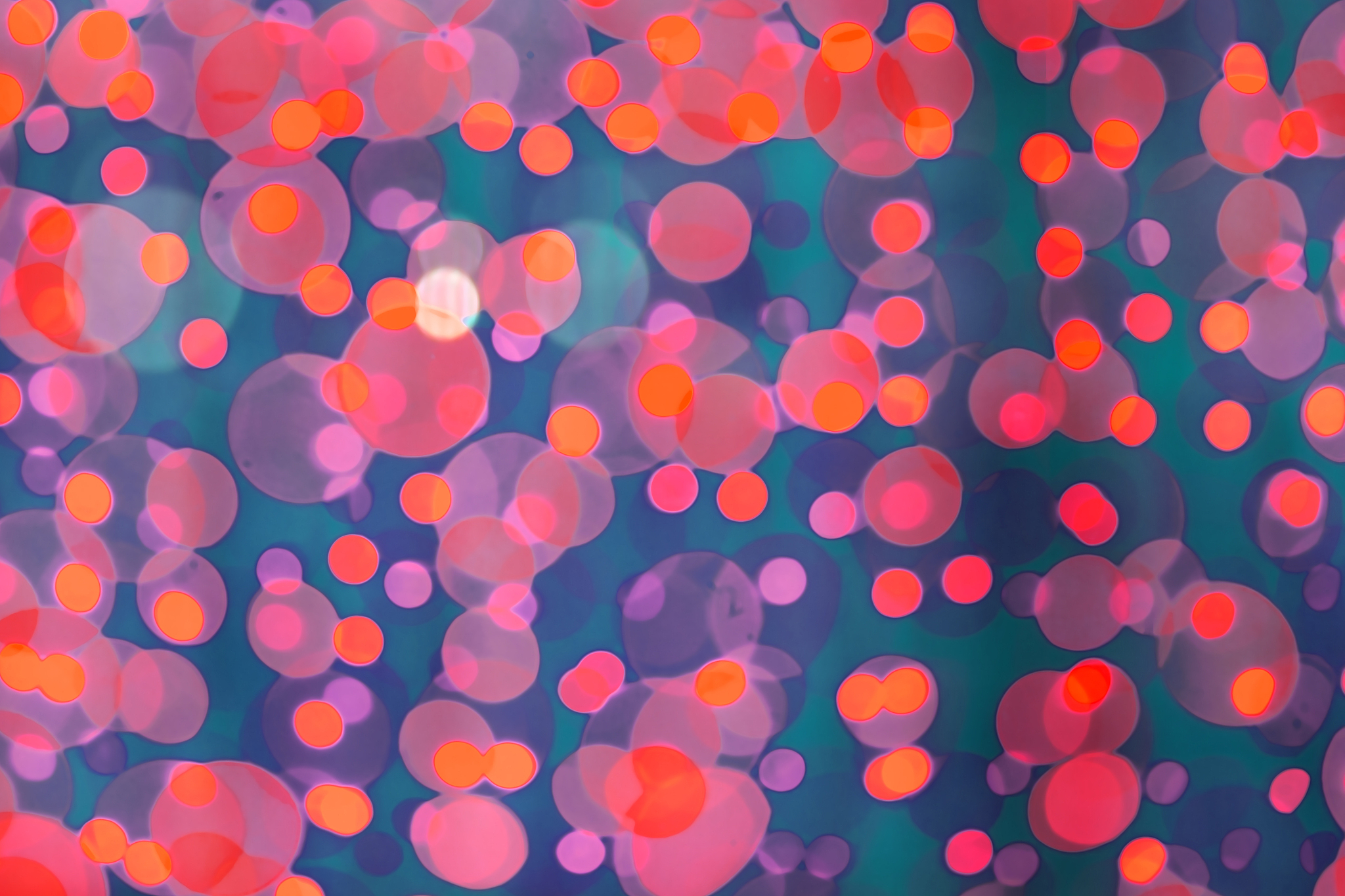 你好我要写一个实验报告请你帮我可以吗？当然可以请问你需要哪方面的帮助？实验名称：人体表面微生物的检测与观察。实验人：gxc。实验目的：这个我不知道你觉得是什么？实验步骤：大致是先给培养皿杀菌然后制作培养基倒平板什么的然后接种细菌放在37摄氏度恒温箱培养一周得到结果你帮我完善一下实验步骤。实验结果：你帮我写。讨论分析：你帮我写。