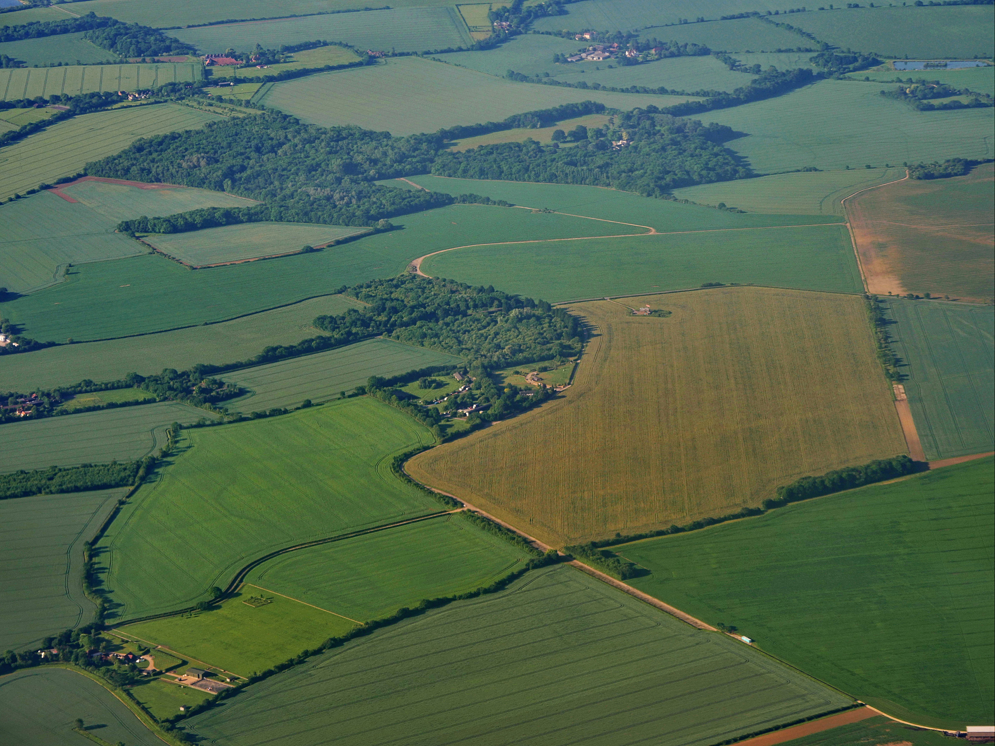aerial view of agricultural field