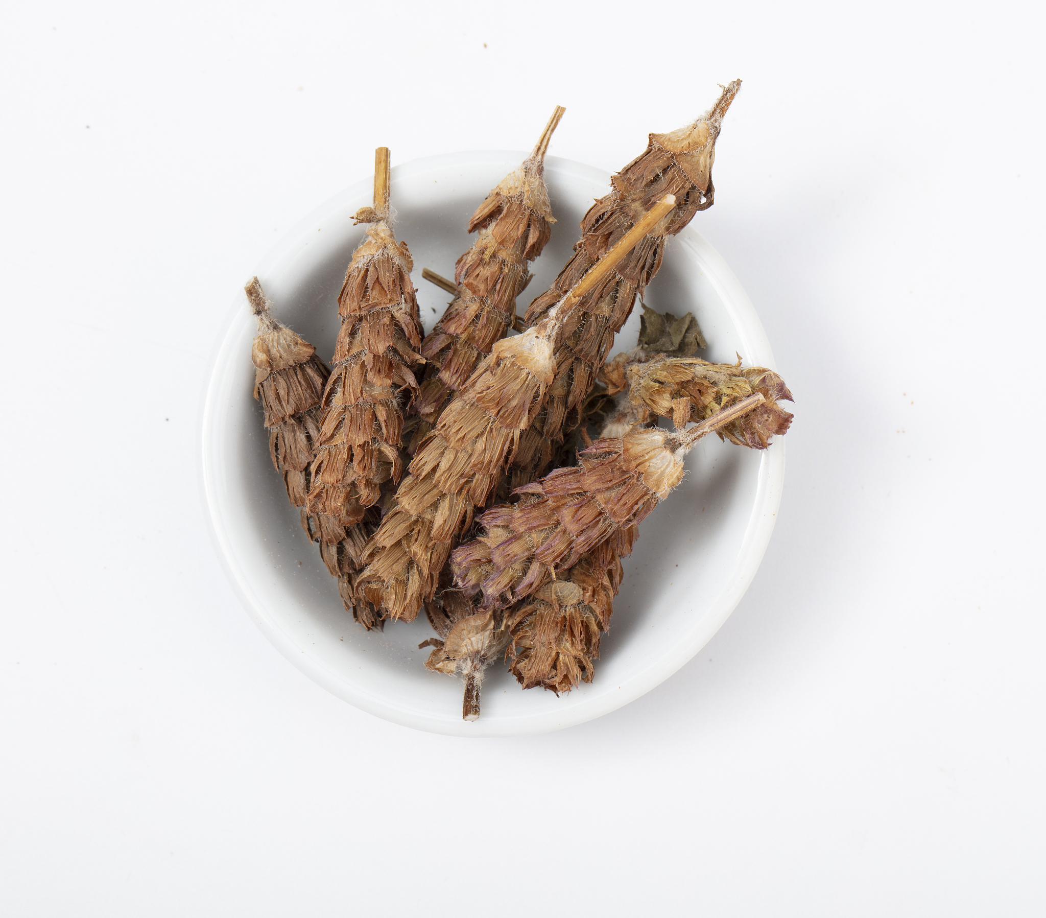 浙江中医药大学滨江学院专业设置 - 中医药类、护理学类等